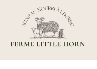 Capture d’écran du 2025-12-08 20-32-11.png