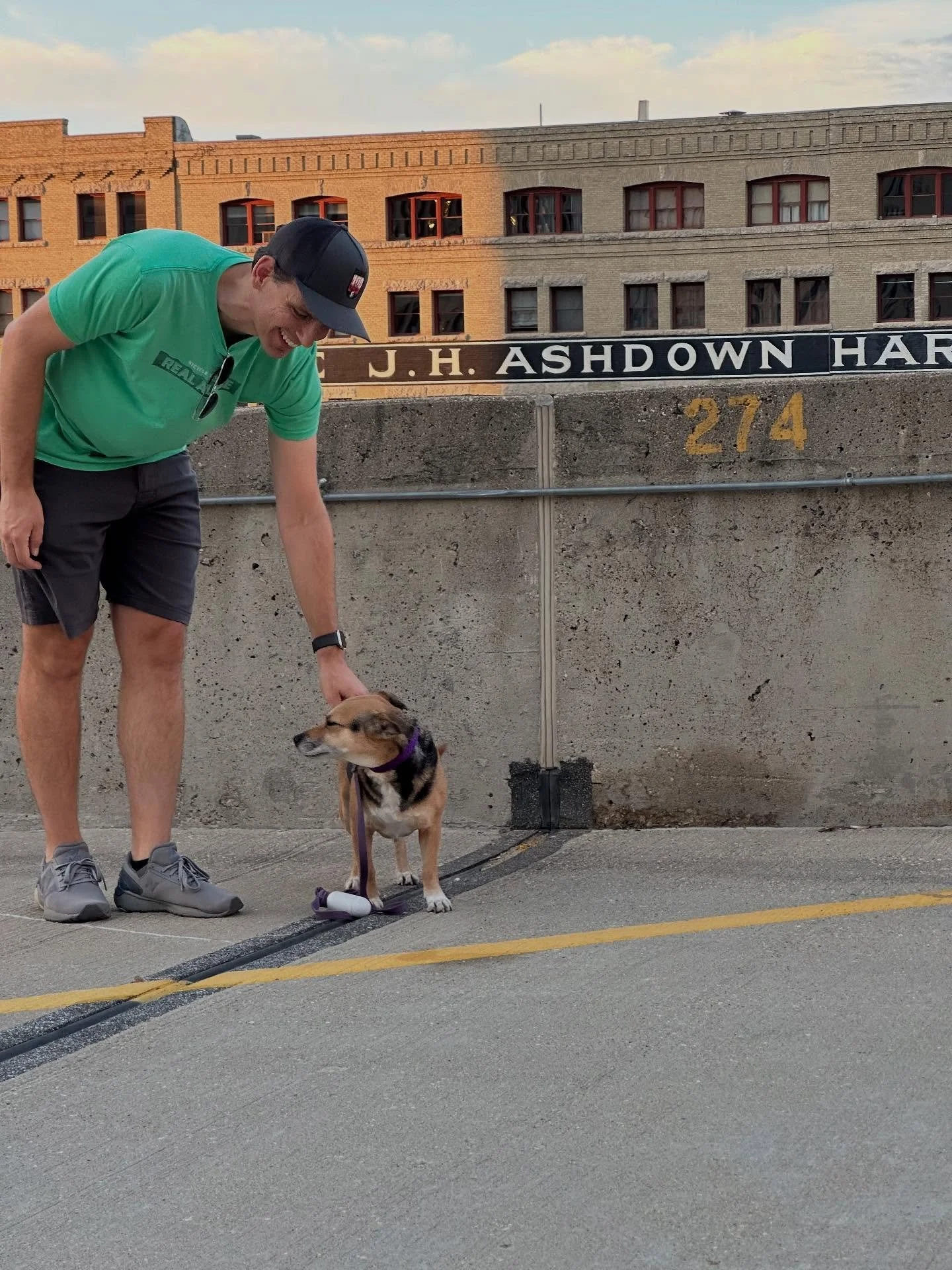 Tonight, we tried to do a doggy photo shoot on the roof of a garage where we always see couples taking engagement photos. 

What you see here are the results. 

She&rsquo;s fired. Accepting applications for a new dog.