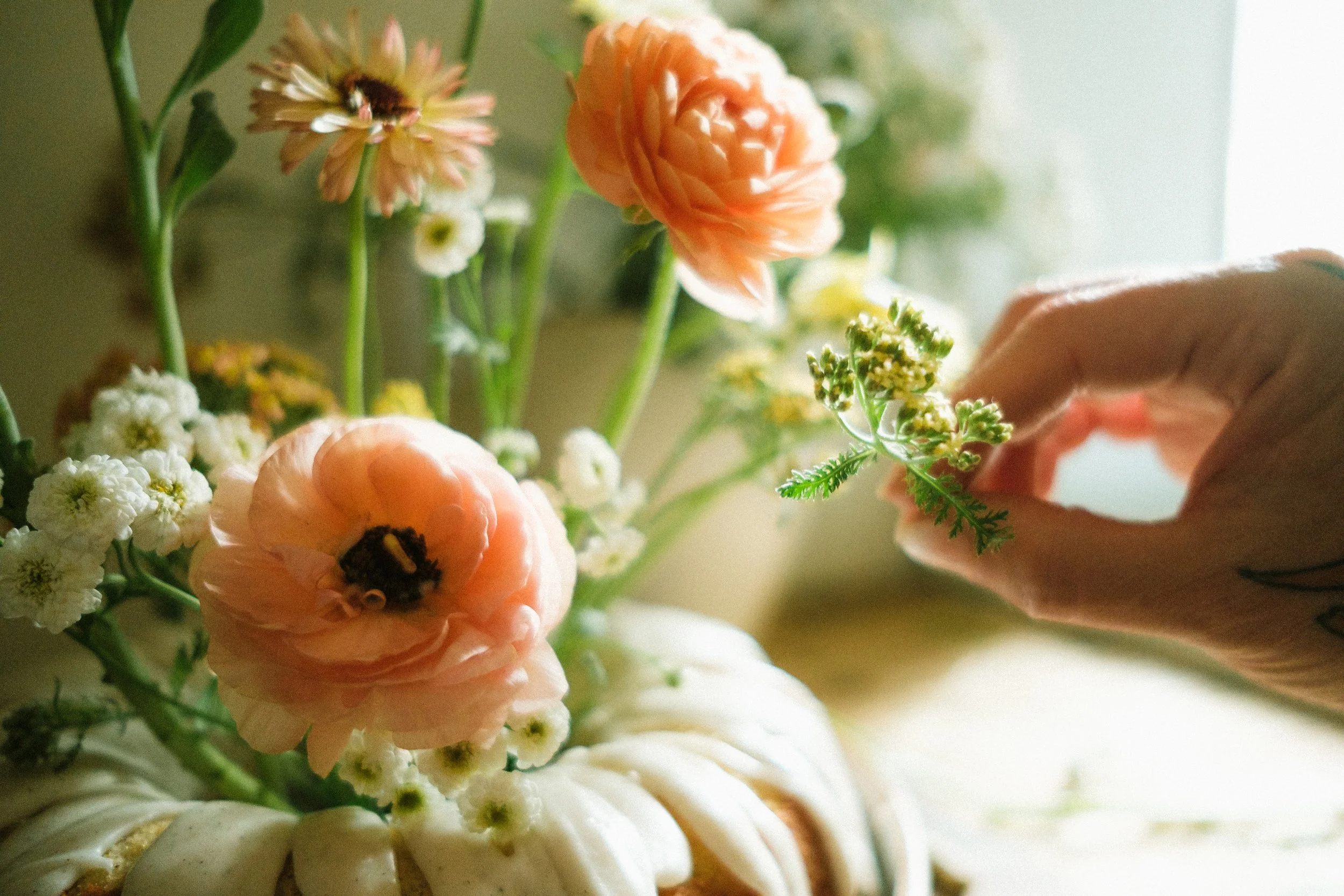 Cake-0115.jpg