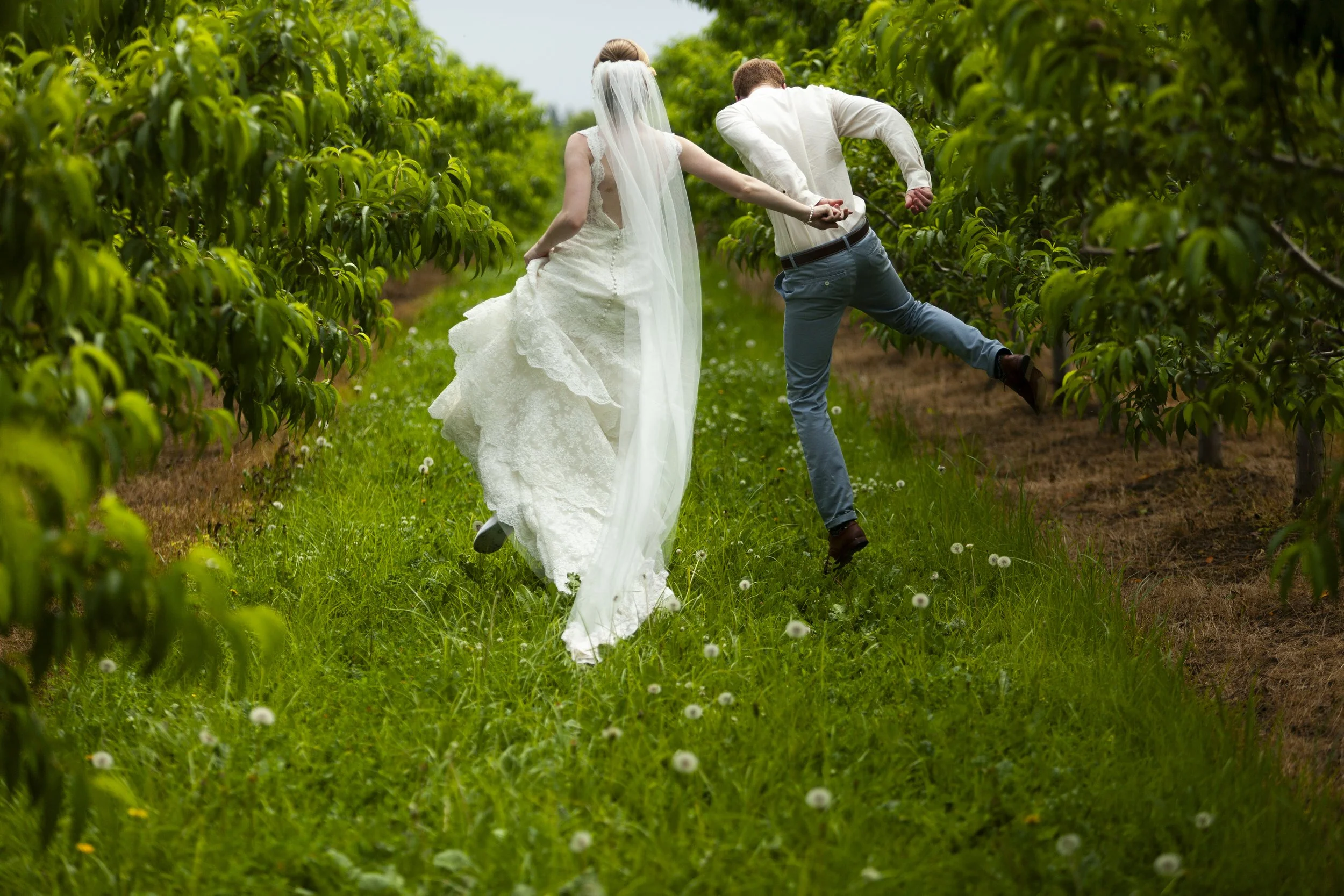 A bride and groom holding hands and running through a lush green orchard during daytime. The bride wears a white wedding dress and veil, while the groom is dressed in a white shirt and blue pants.