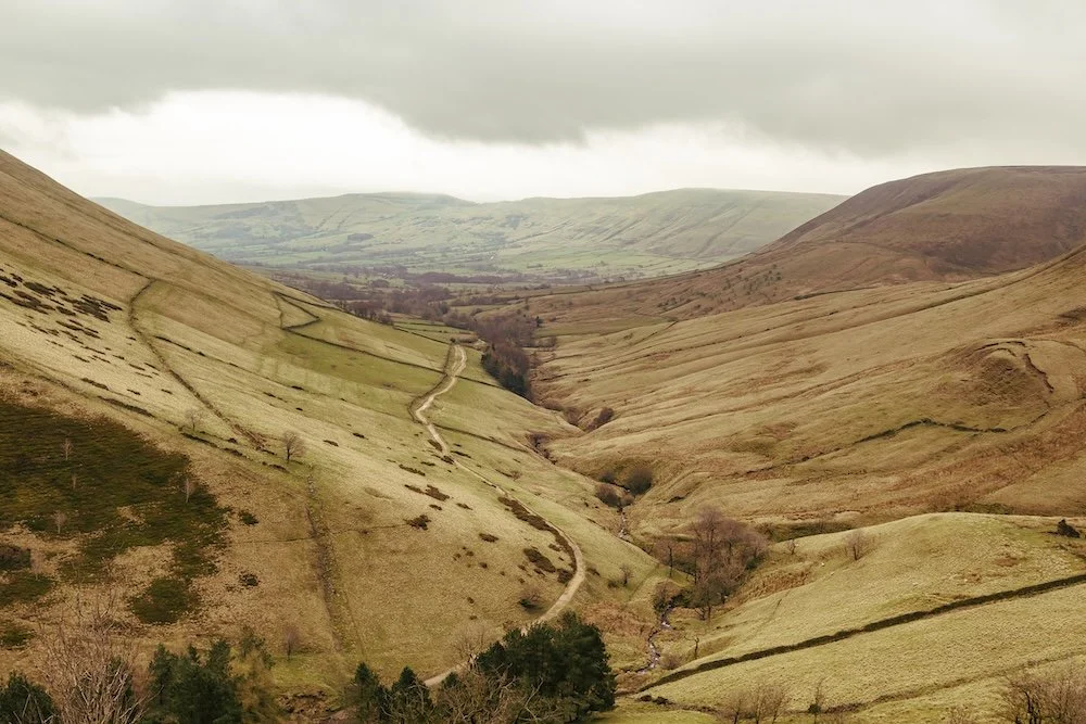 Rolling hills with a narrow winding dirt path through a green valley, some scattered trees, and mountains in the background under cloudy skies.