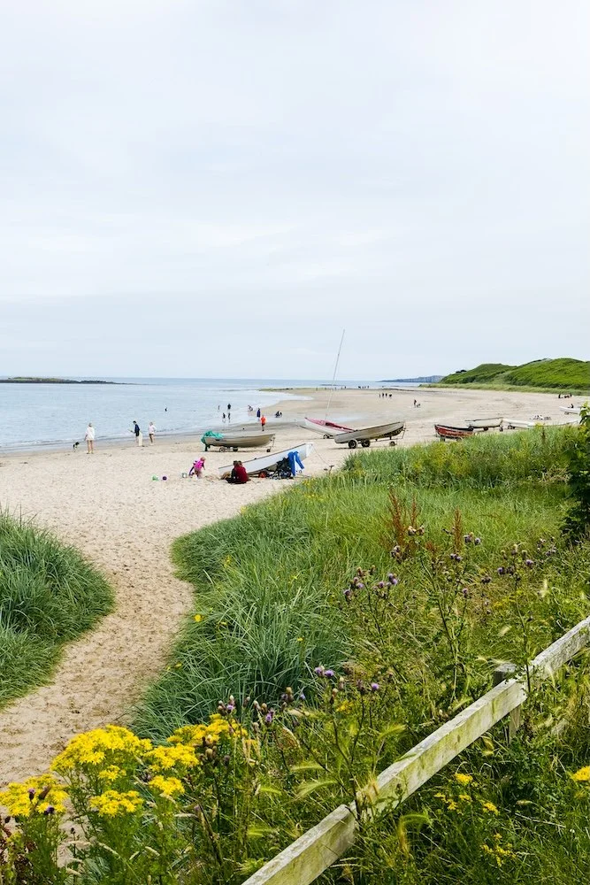 A beach scene with boats on the sand, people walking and relaxing near the water, and green vegetation with purple and yellow flowers in the foreground.
