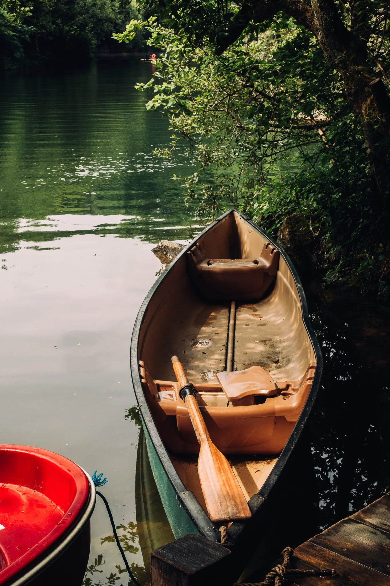 A canoe with a wooden paddle resting inside, docked at the edge of a calm, green river surrounded by trees and foliage.