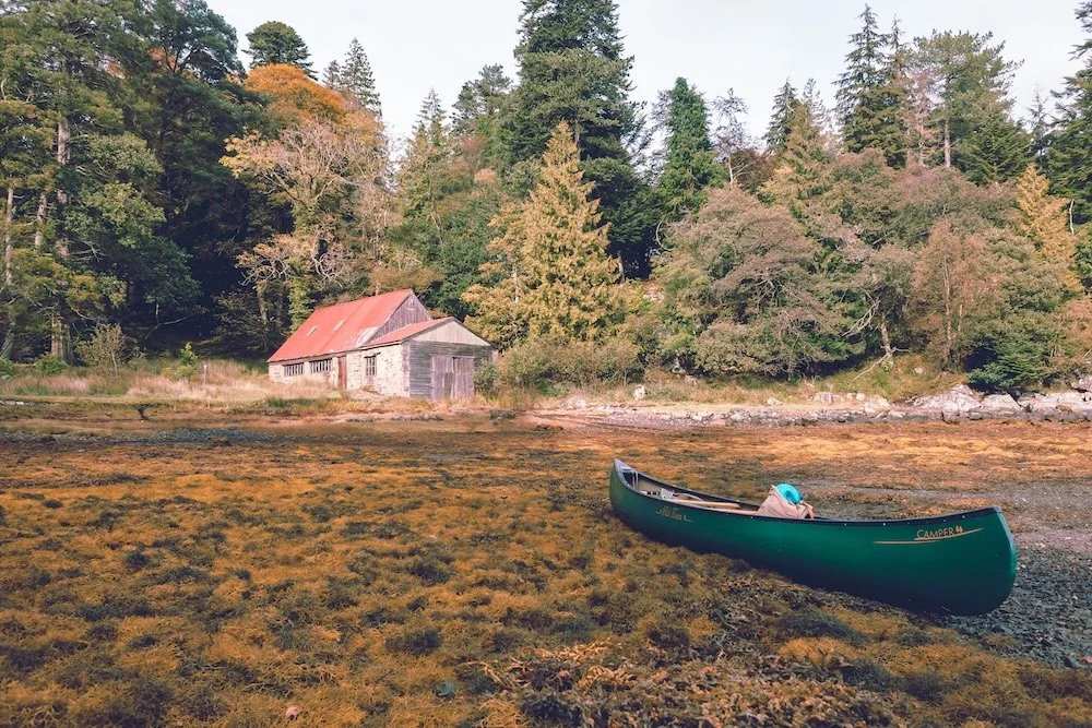 A green canoe resting on a muddy shoreline with overgrown grass, with a rustic barn and dense forest of trees in the background.