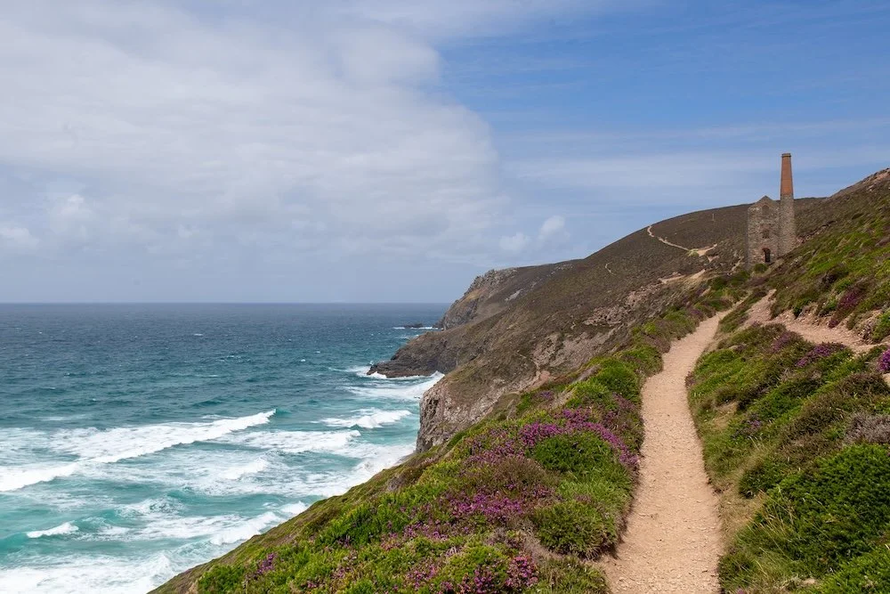 Cliffside pathway along the ocean with purple flowers and an old ruined building in the distance.
