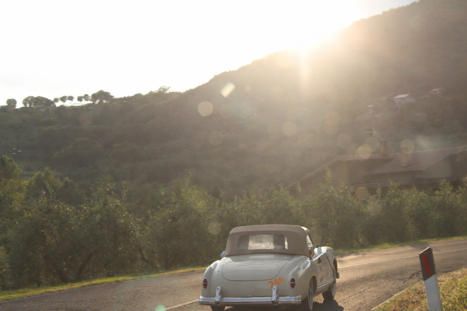 ChatGPT Image 17. März 2026, 11_11_27.png