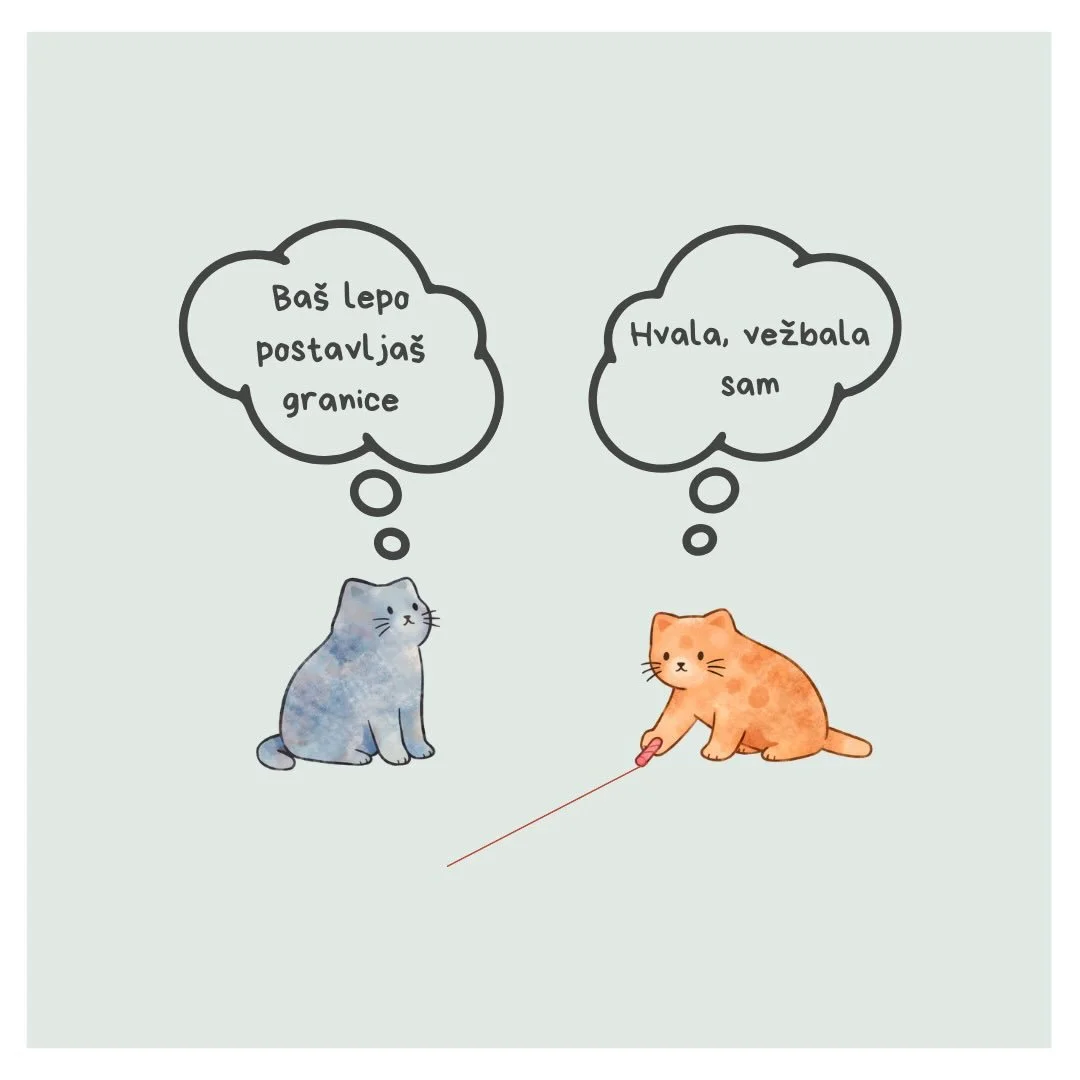 Granice ne znače da nekoga guramo od sebe. One nam pomažu da razlikujemo &scaron;ta je na&scaron;e, a &scaron;ta pripada drugome.
Granice stvaraju prostor u kojem možemo da budemo i bliski i svoji.
Bez granica često se izgubimo u odnosima.
Sa granica