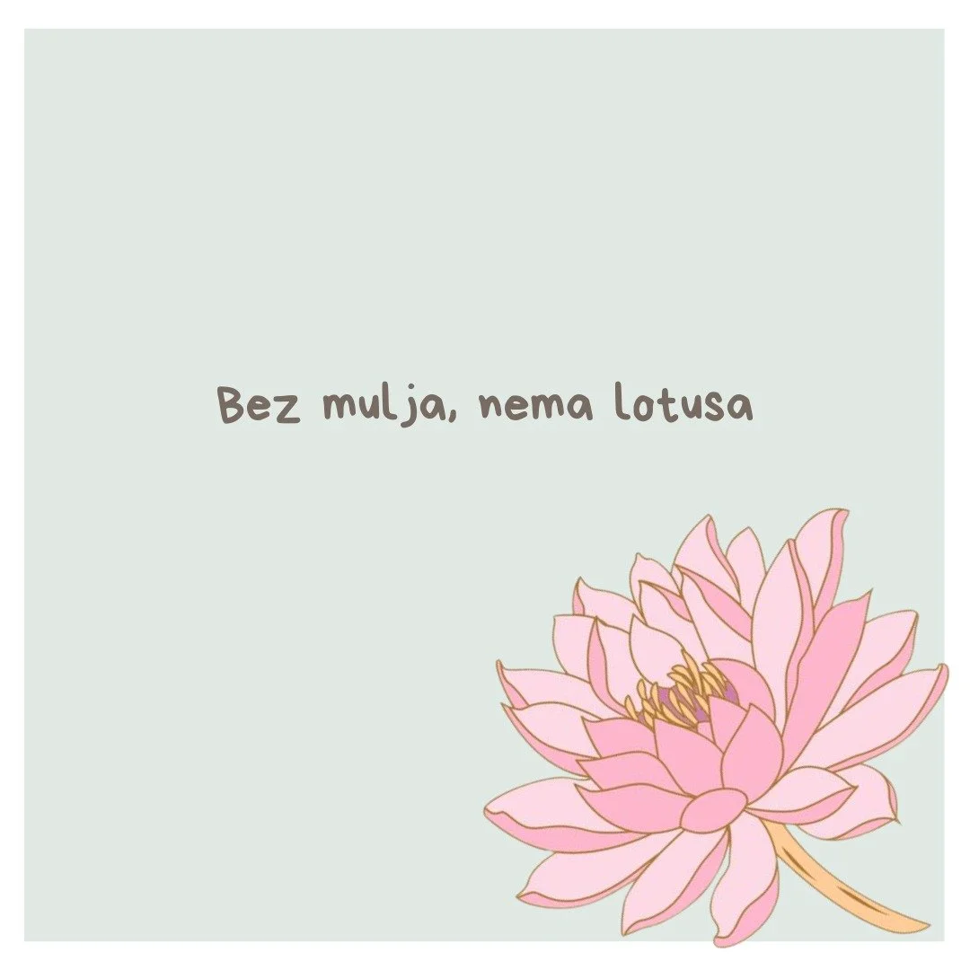 Kada posumnja&scaron;, seti se lotusa. 
Nastaje iz mulja, a ipak procveta snažno i lepo. 🪷

-------------------------------------------

When in doubt, remember the lotus. It comes to life from beneath the mud, yet blooms strong and beatuiful. 🪷