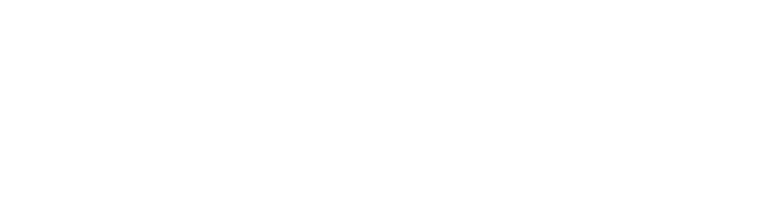 Solea Travel