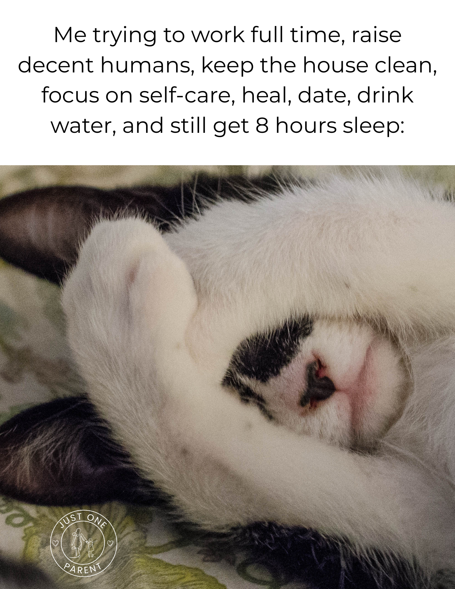 A sleeping puppy with a black and white fur pattern, lying on its back with its paws covering its face.