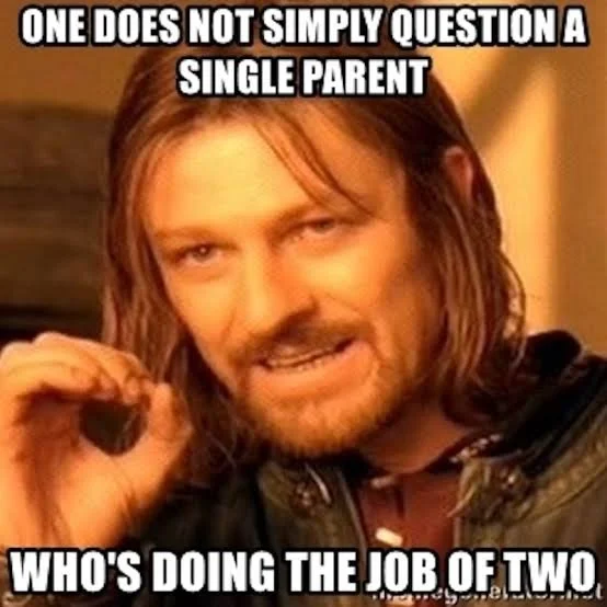 A meme featuring a character from The Lord of the Rings with text about questioning single parents.