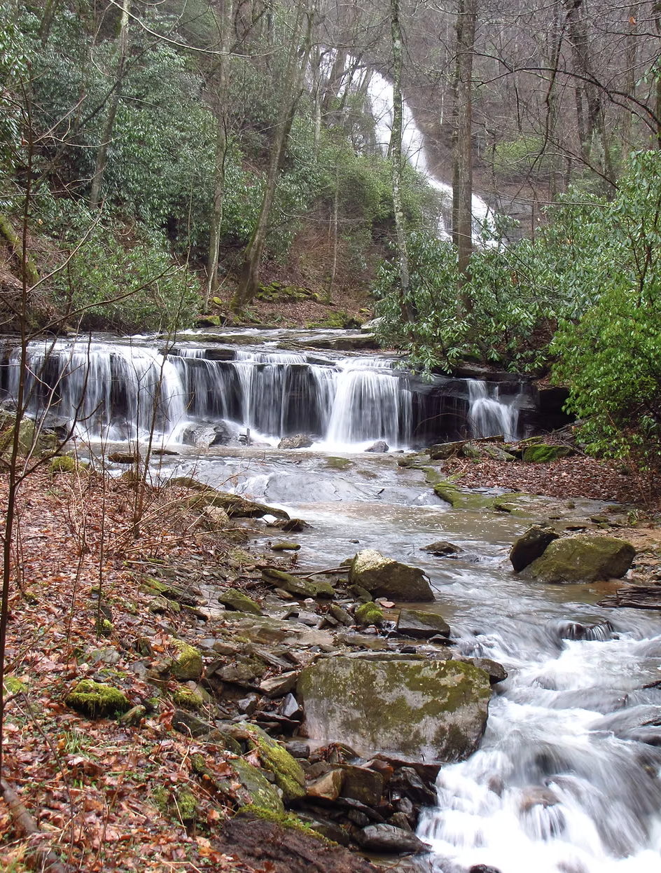 GUIDED MORNING RESTORATION HIKE