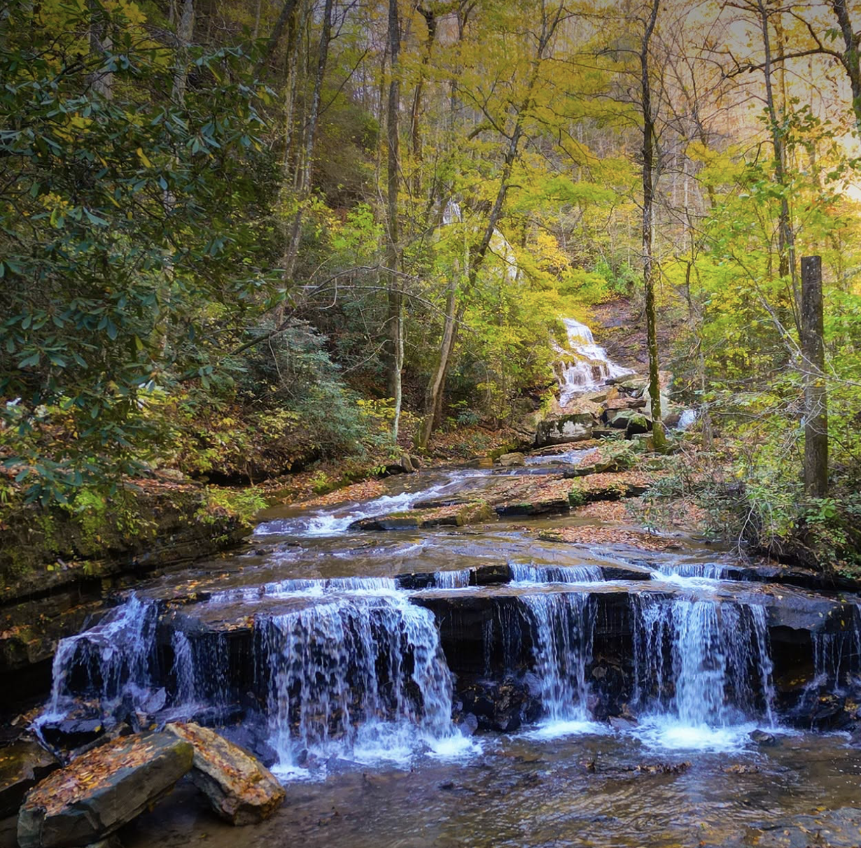 GUIDED MORNING RESTORATION HIKE