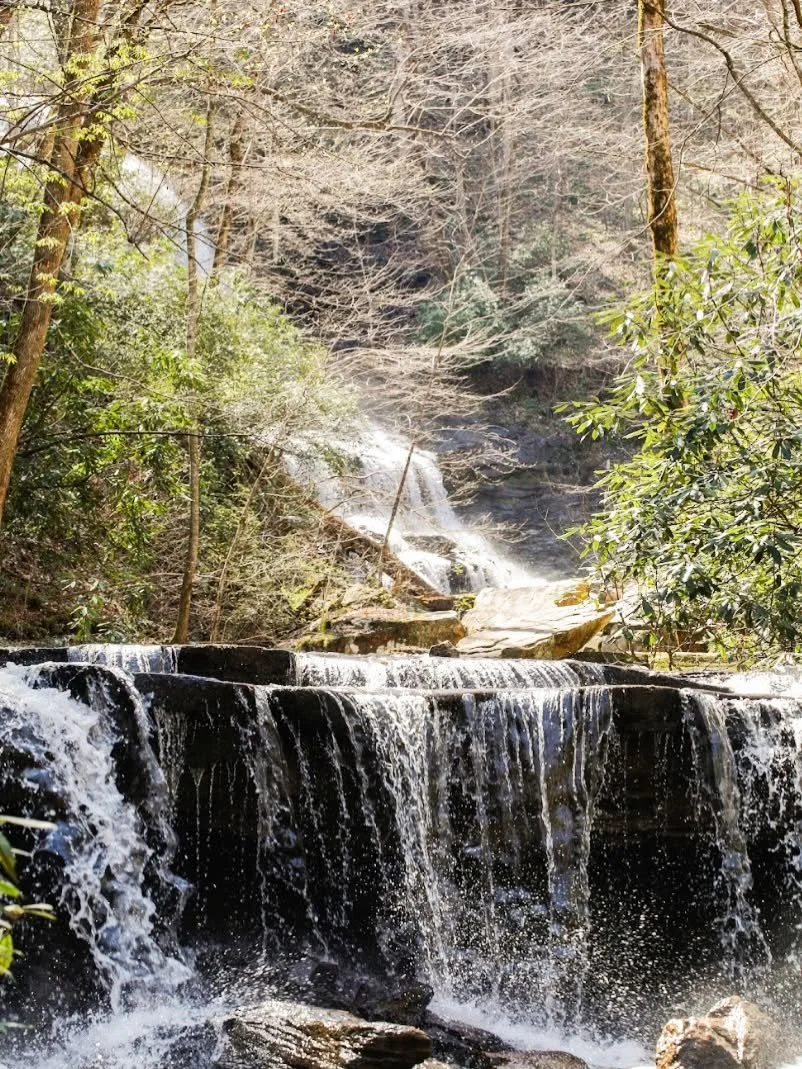 GUIDED MORNING RESTORATION HIKE