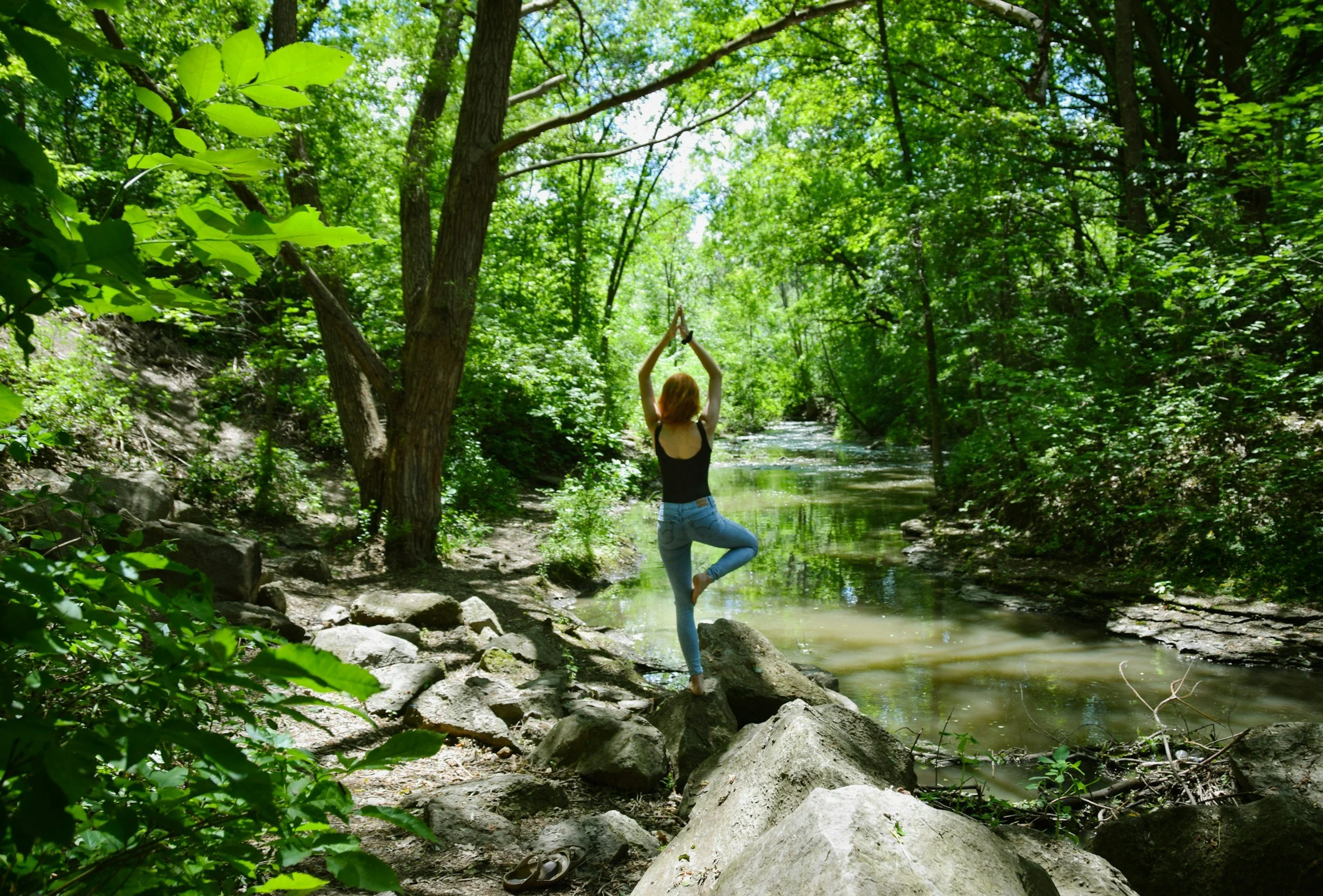 GUIDED MORNING RESTORATION HIKE
