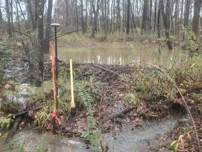 pg2-new-img5 (1).jpg