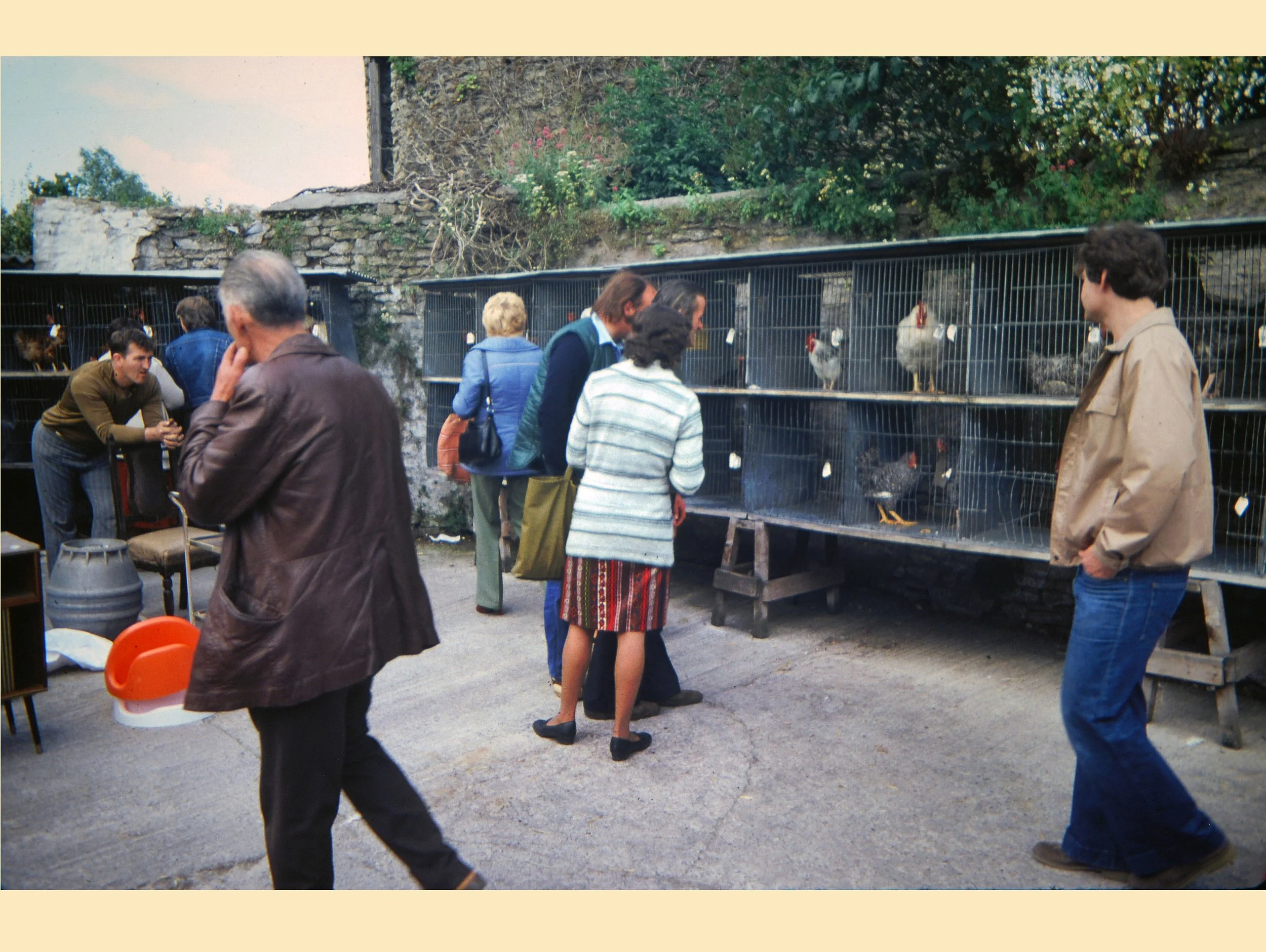  BLACK SWAN YARD -  
As well as the animals, other useful items were auctioned off during the day. The tall building behind the cages is the round drying stove before being re-built. The market moved to Standerwick in 1990.
