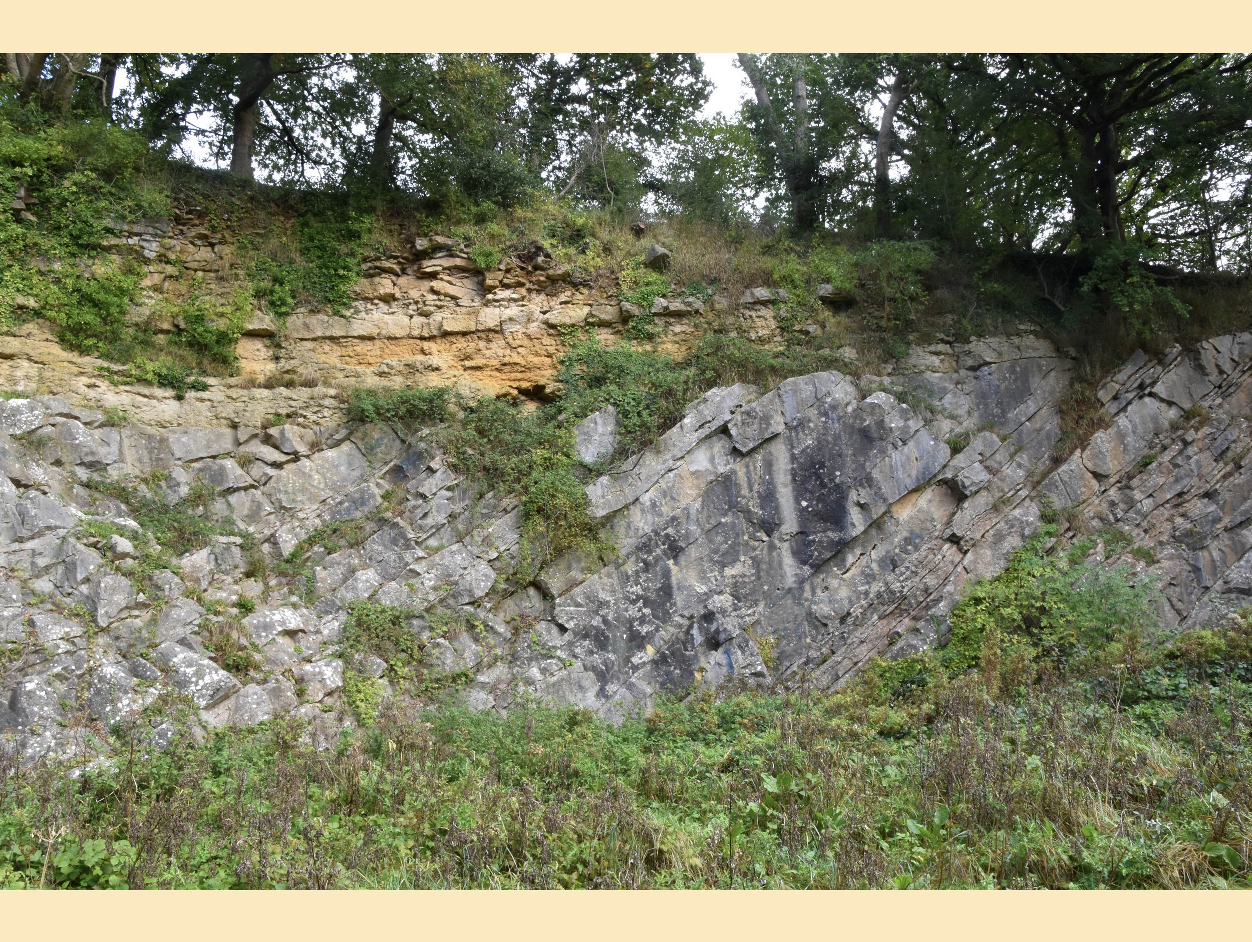  VALLIS VALE -  
Vallis Vale contains the famous 'De La Beche' unconformity, described in the world's first Geological Survey memoir in 1846. Here, an old quarry clearly shows the unconformity between the yellow-coloured, horizontally bedded Jurassic