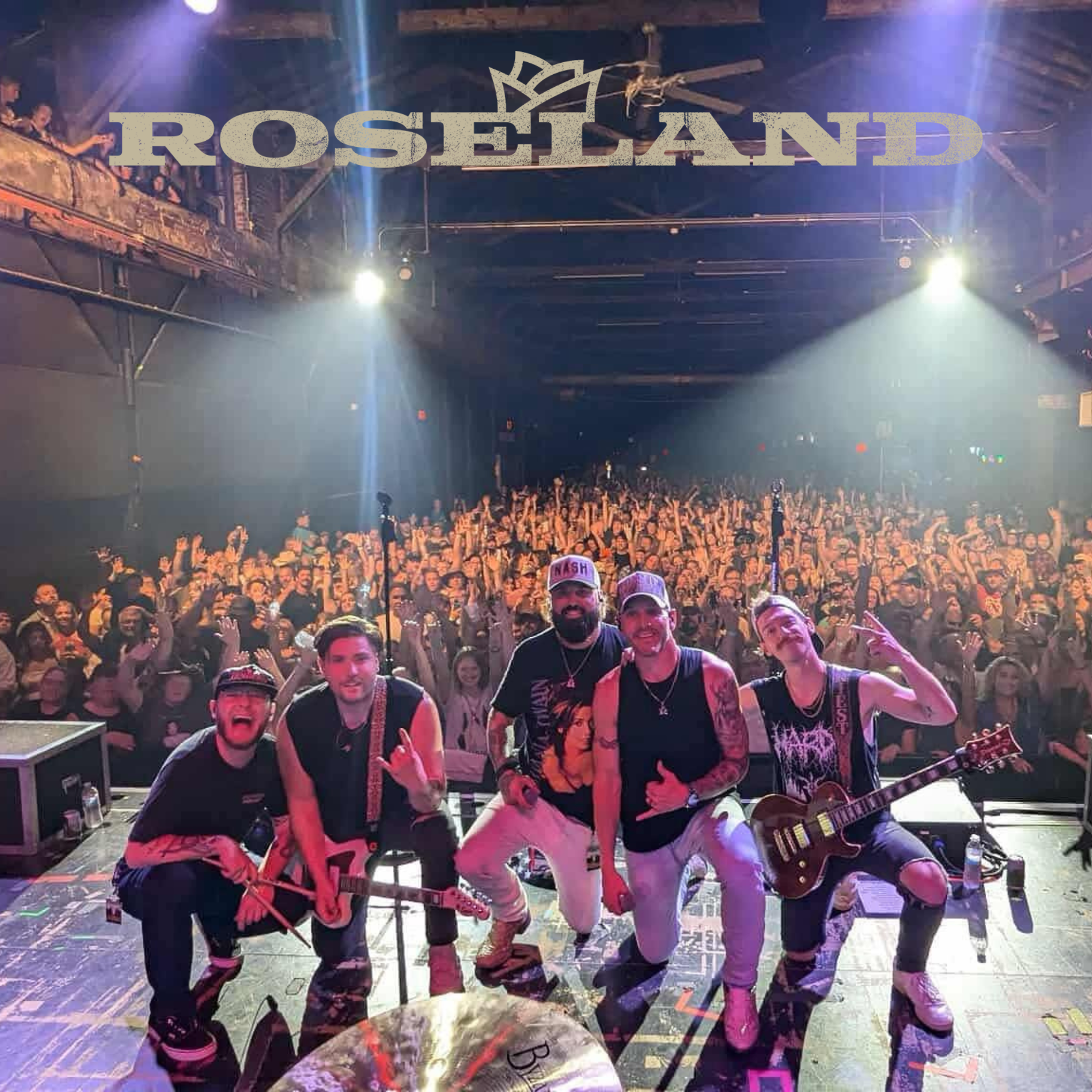 Band performing on stage at Roseland concert venue with large cheering crowd in the background.