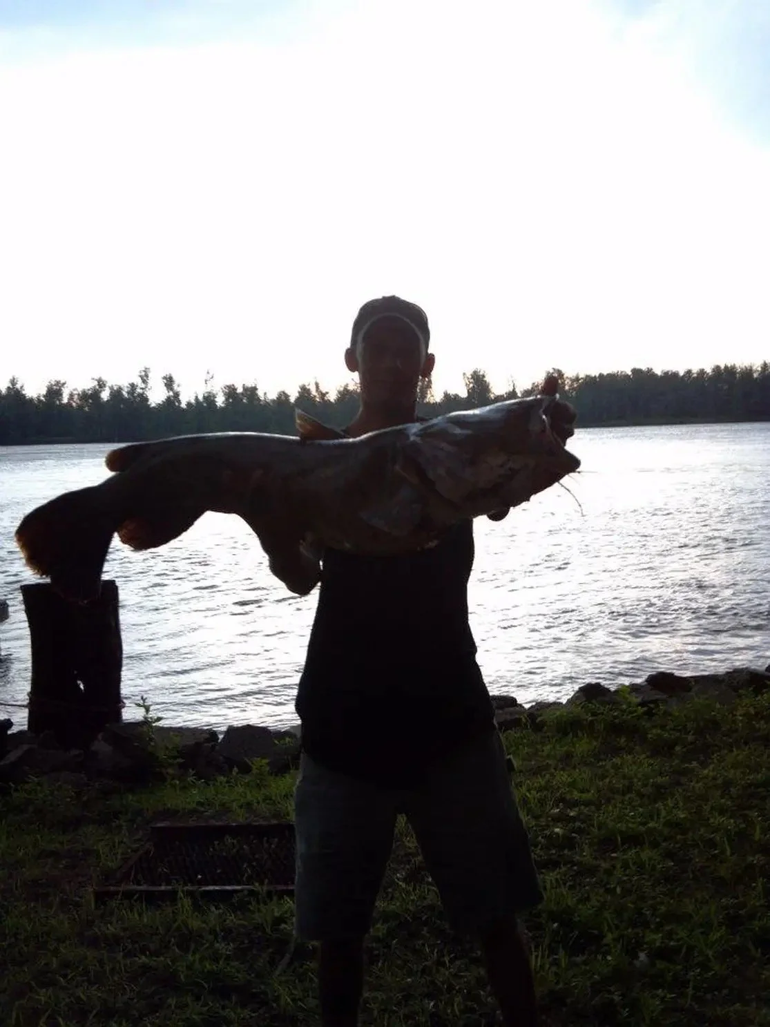 "Live Bait" Level Sponsorship