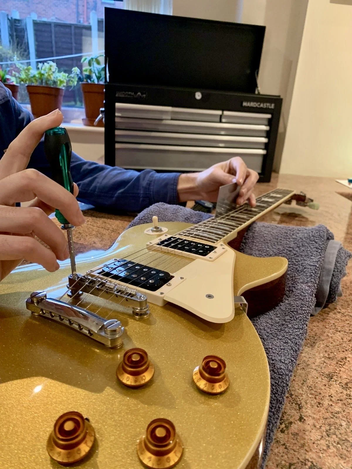 Person repairing or tuning a gold-colored electric guitar with orange control knobs, in a room with potted plants on a windowsill and a black toolbox in the background.