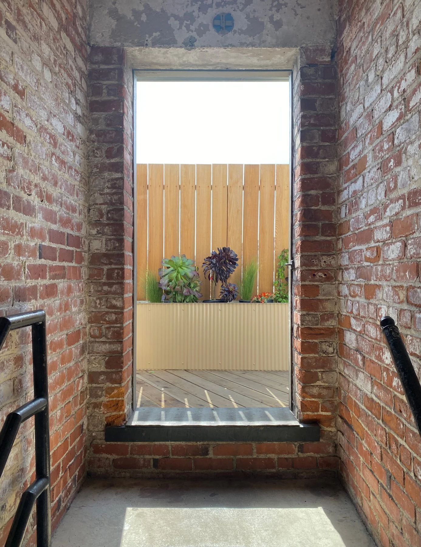 Chavez Roof Terrace — Construction: Percho’s Construction. Architecture & photography: Haddock Studio.