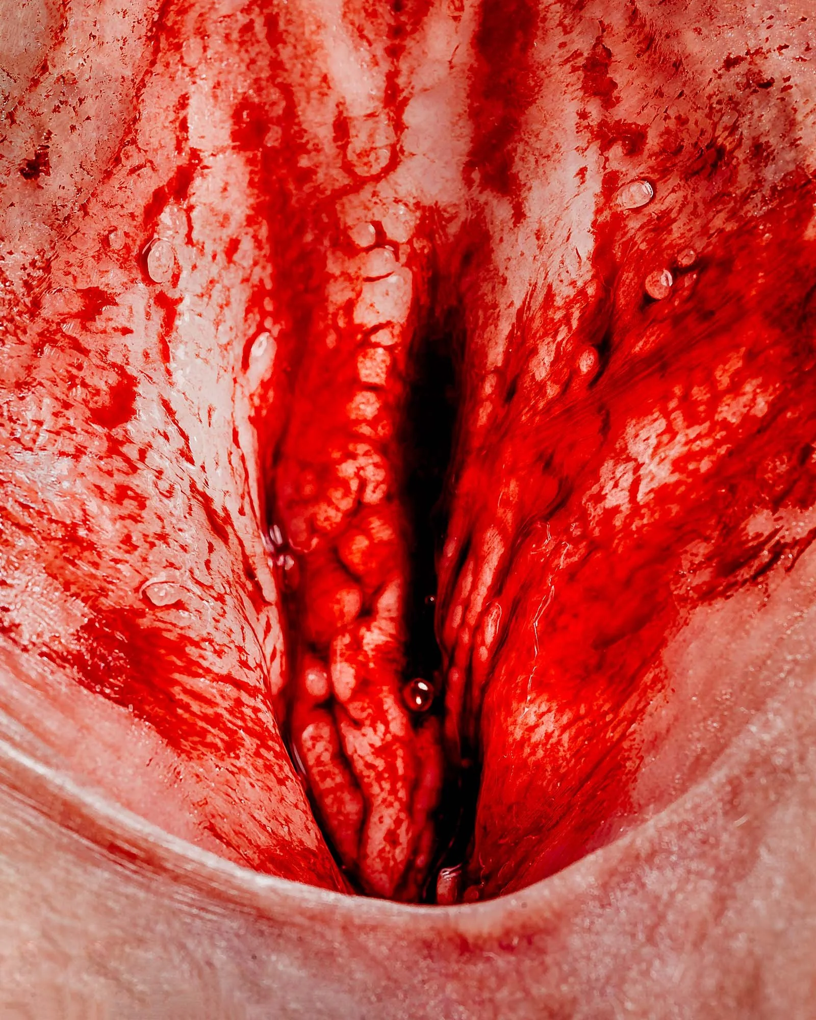 neal-auch-abstract-smut-close-up-vulva-during-menstruation-2.jpg