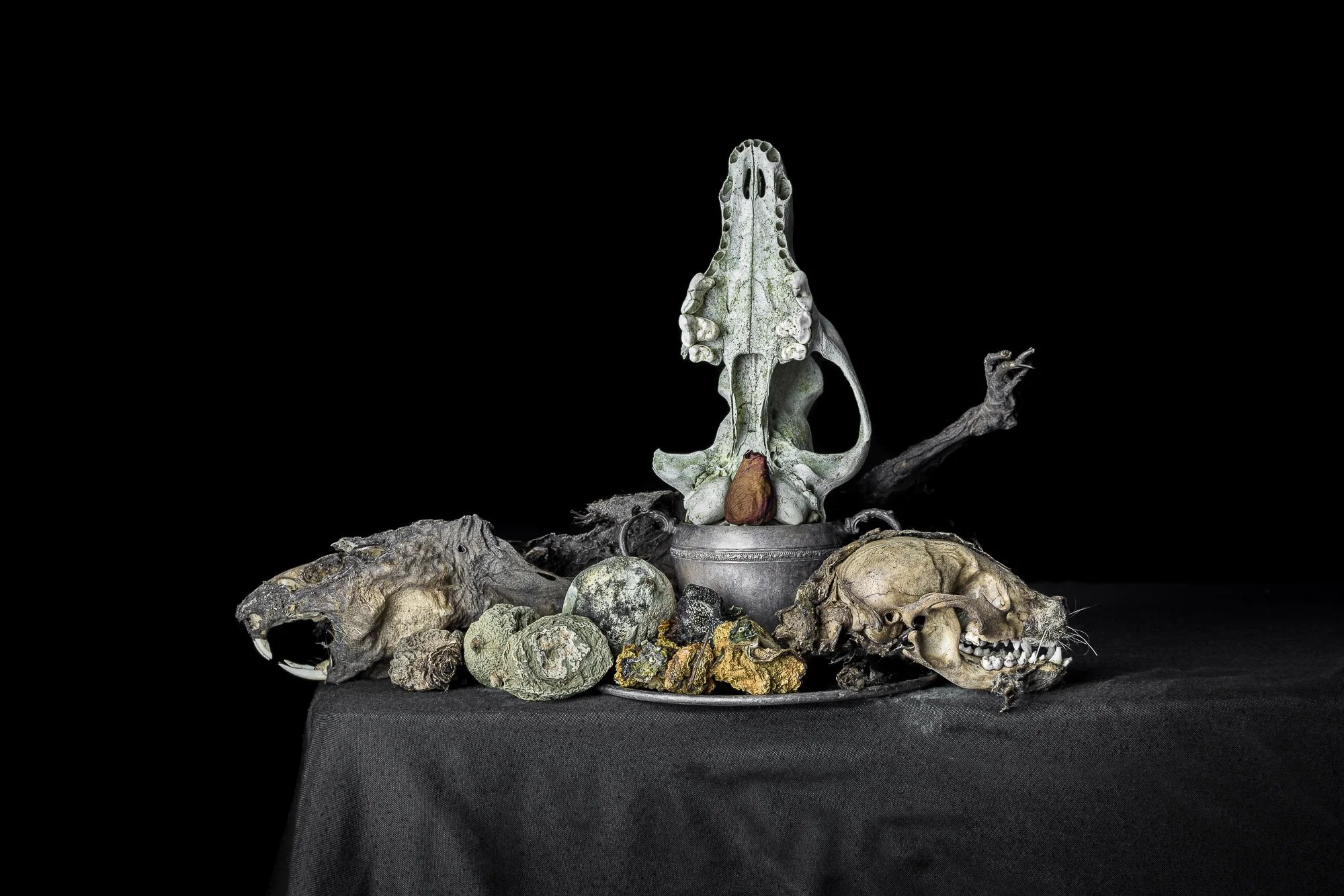 neal-auch-vanitas-still-life-web-4.jpg
