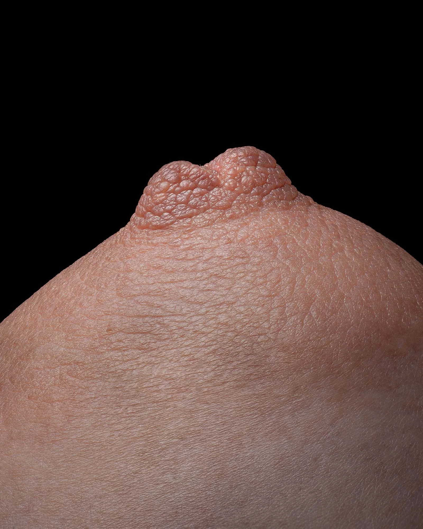 neal-auch-intimate-topography-model-l-6.jpg