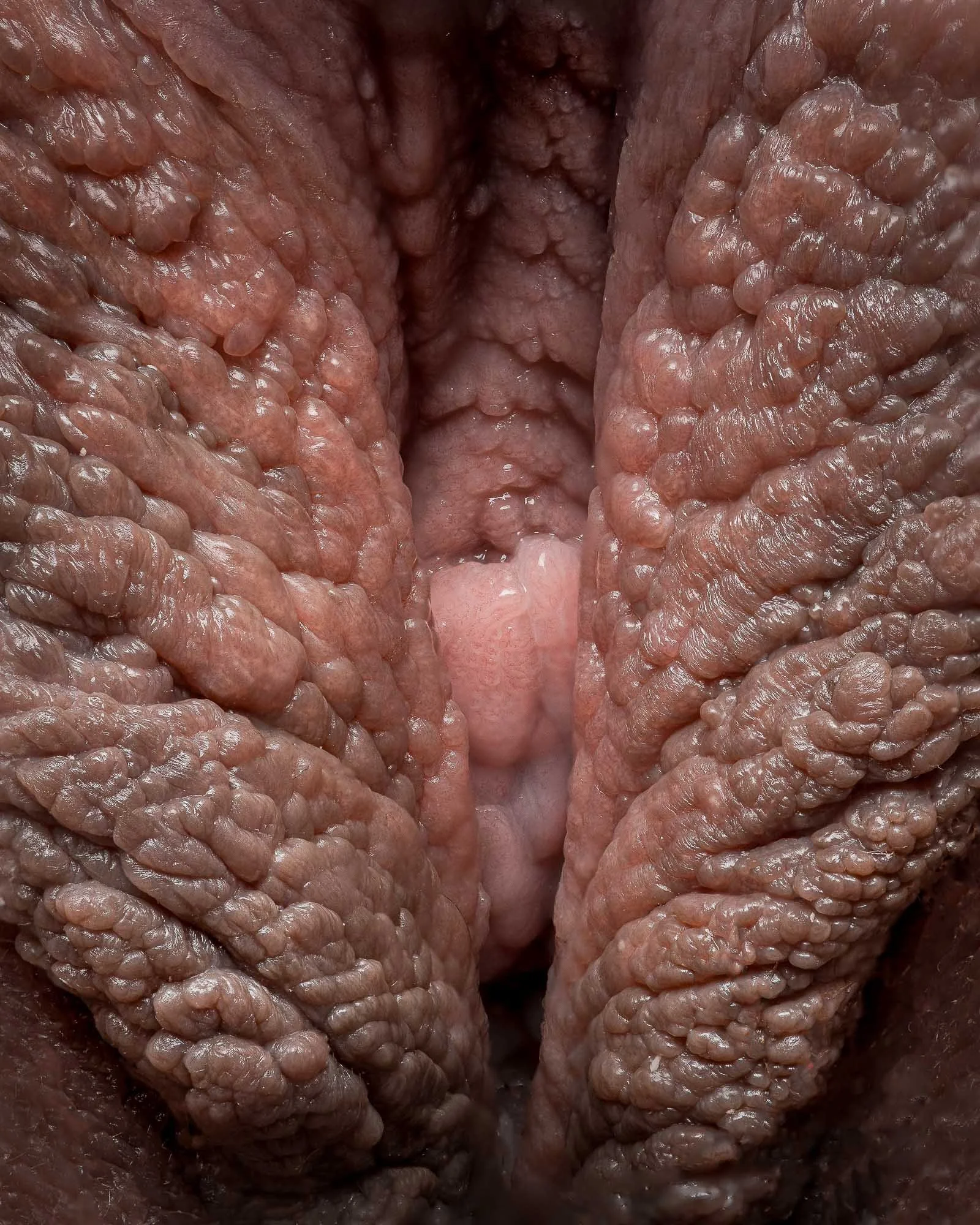 neal-auch-topography-of-desire-entrance.jpg