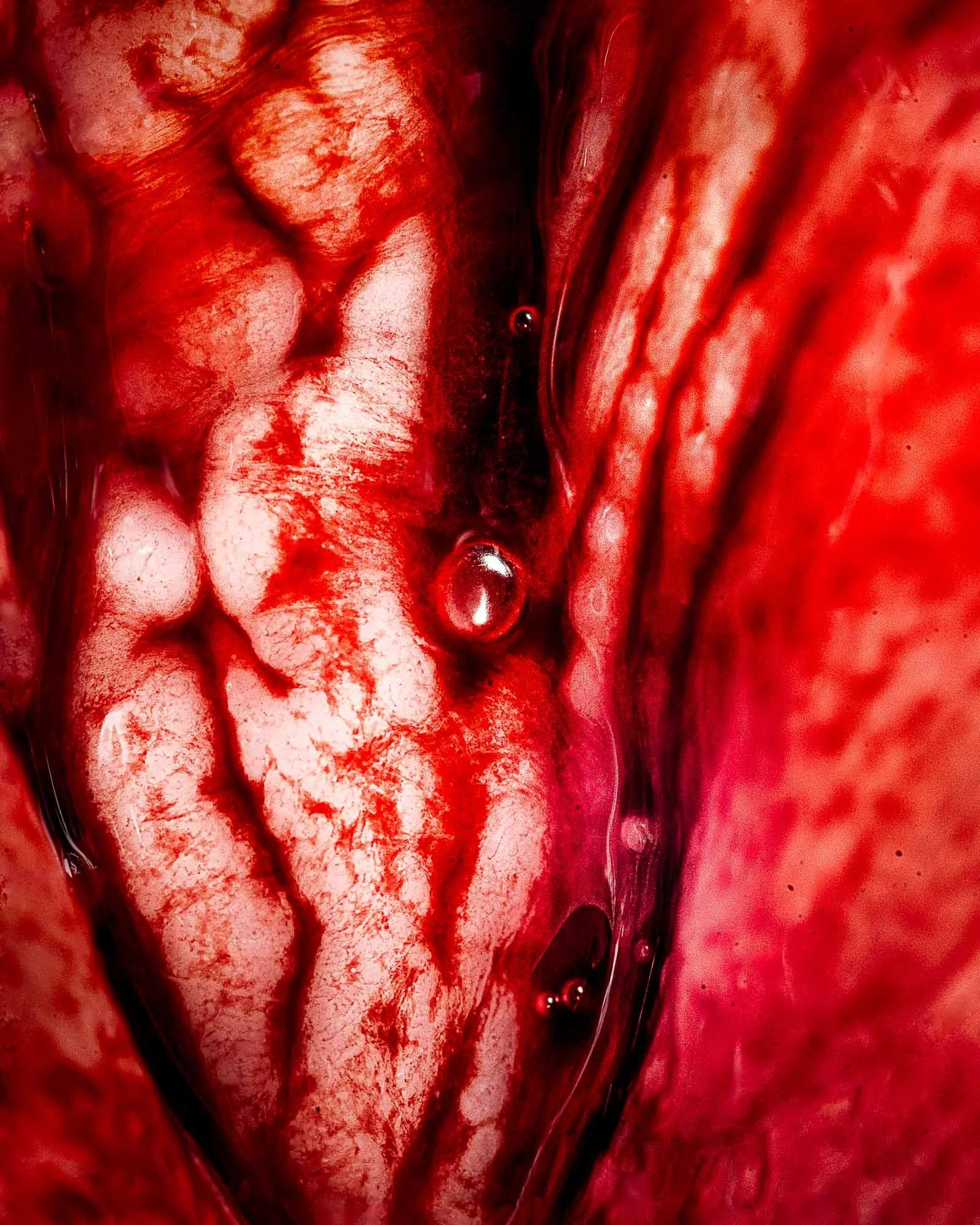 neal-auch-abstract-smut-close-up-vulva-during-menstruation-3.jpg