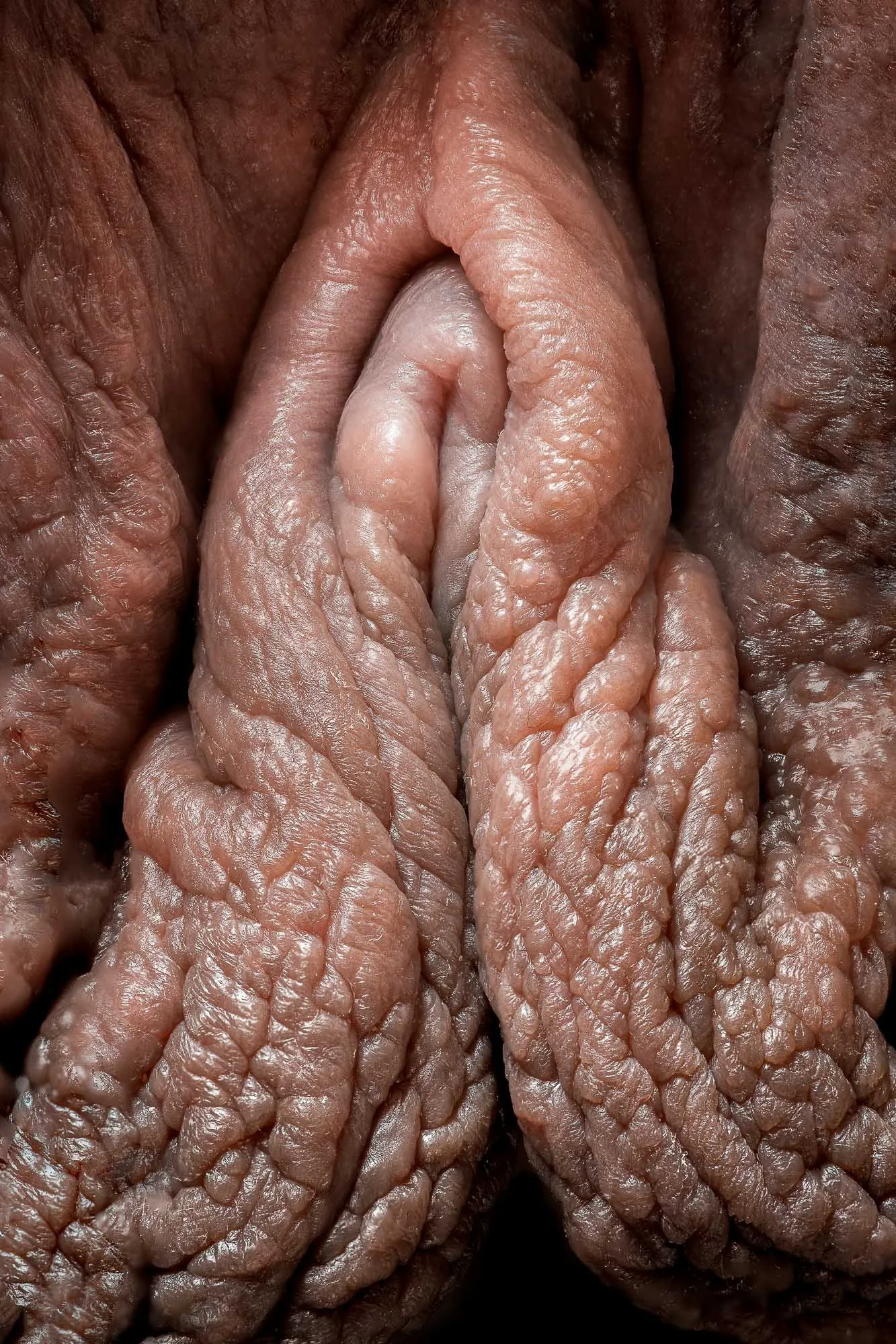 neal-auch-topography-of-desire-clit-1.jpg