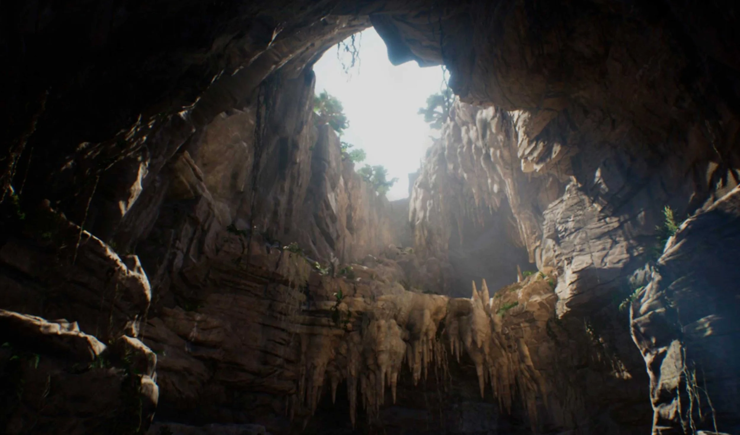 Looking up inside a large natural cave with sunlight visible through an opening at the top, revealing rocky walls and some small vegetation.