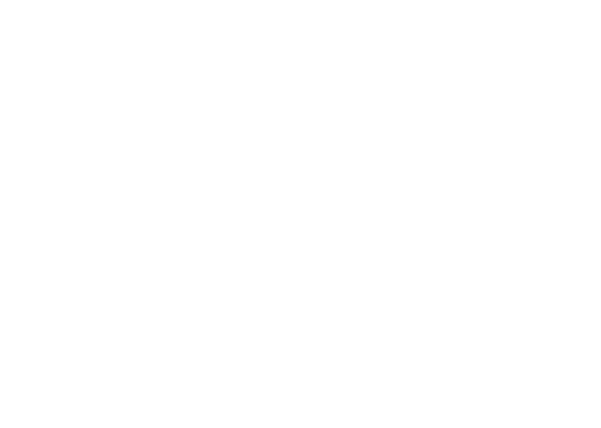 Logo of a software company called ScreenShot, with a gear symbol above the letter 'S' and the words 'screenshot software' underneath.