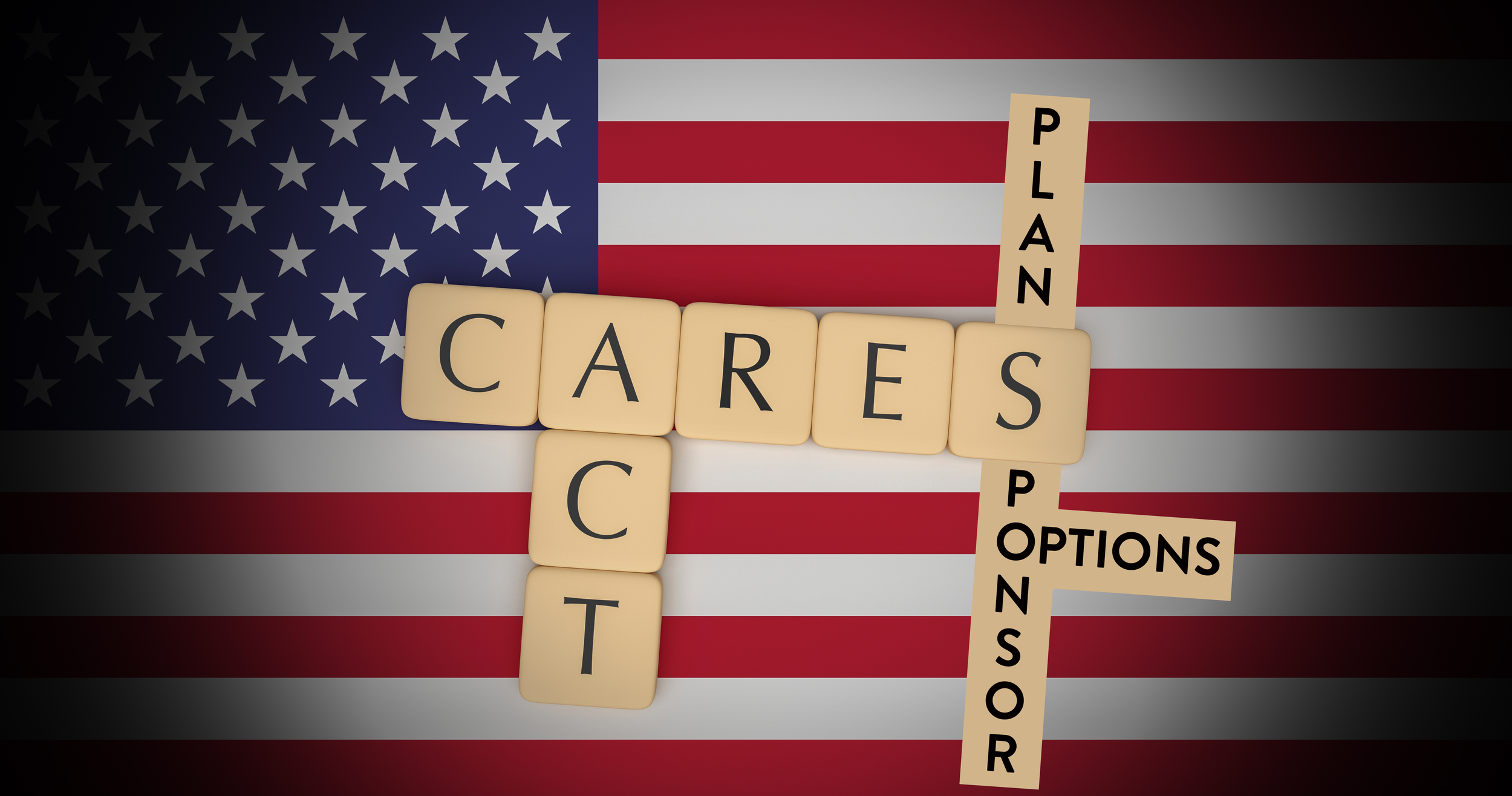 CARES Act Plan Sponsor Options