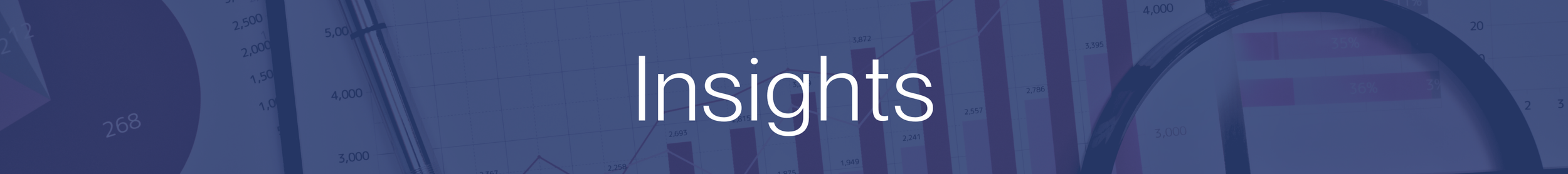 Close-up of a computer screen showing various charts and graphs with the word 'Insights' overlaid in the center.