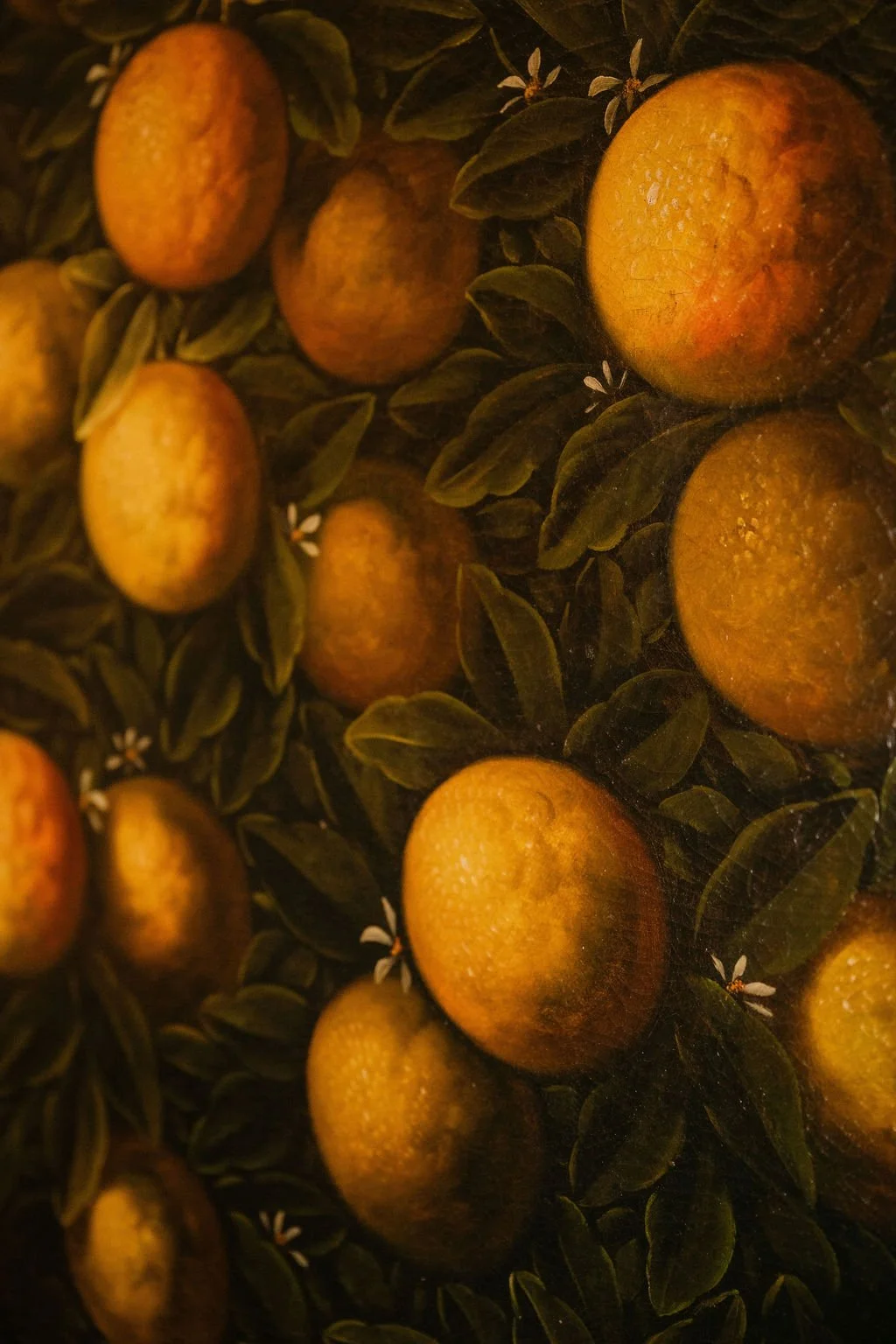 sarapaolucci-details-of-a-painting-with-oranges.jpg