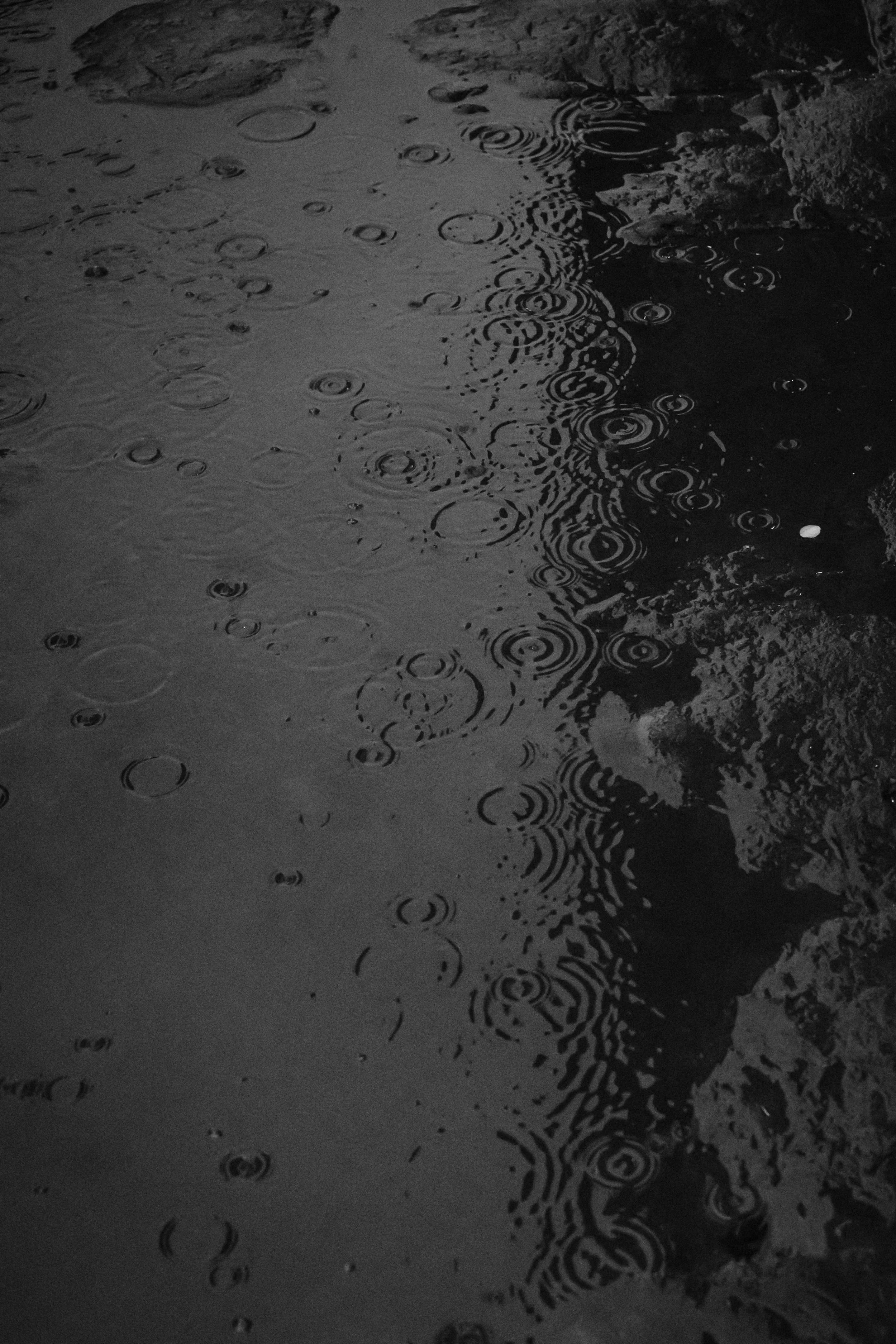 sarapaolucci-raindrops.jpg