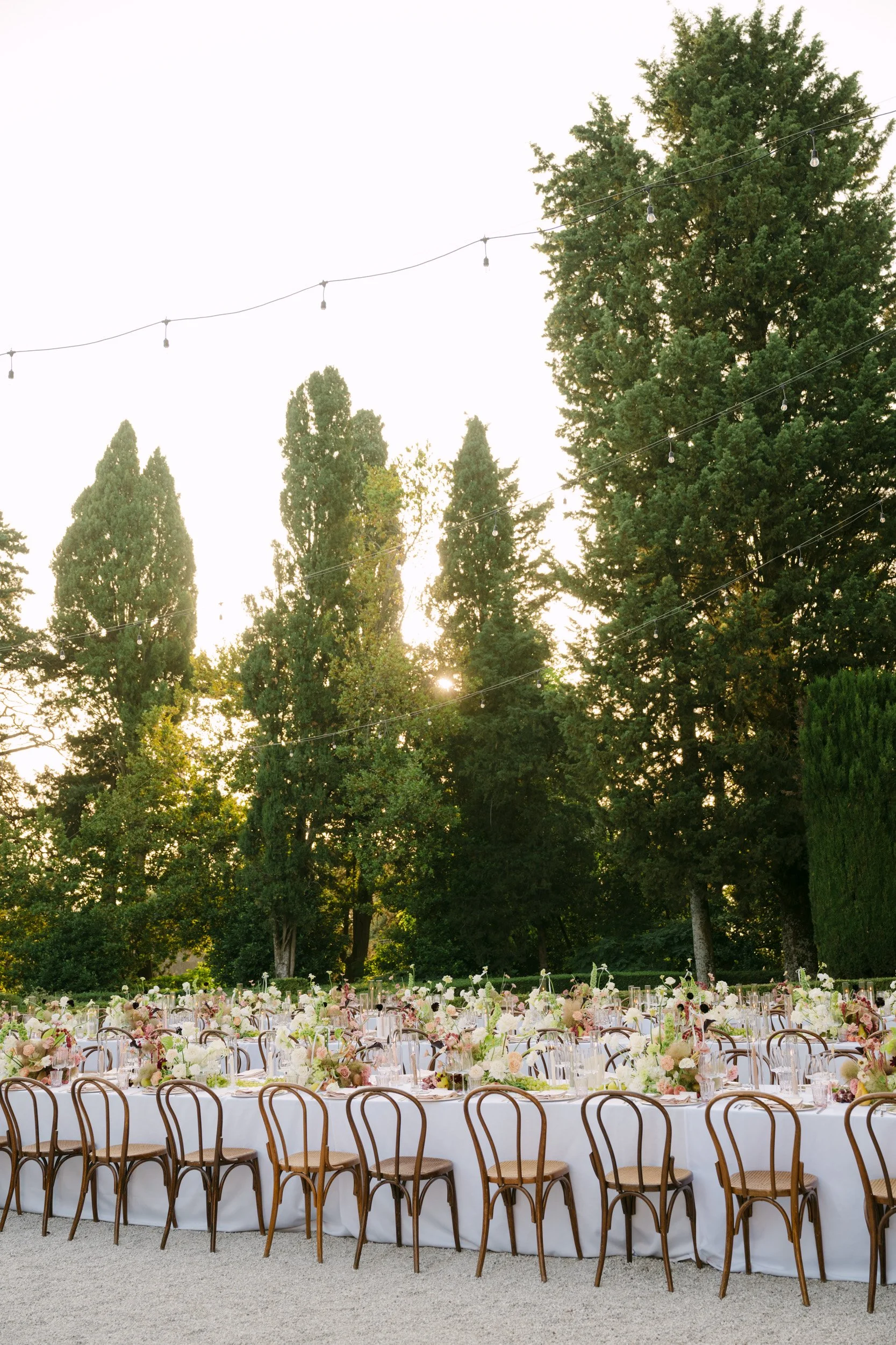 Outdoor wedding reception setup with long rows of tables adorned with floral arrangements and wooden chairs, under string lights, with tall trees and sunlight in the background.
