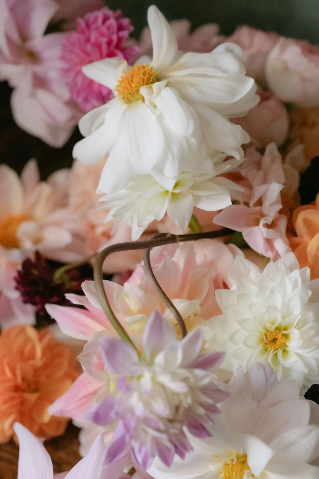 Close-up of a bouquet of various flowers including white, pink, purple, and orange blooms with yellow centers.