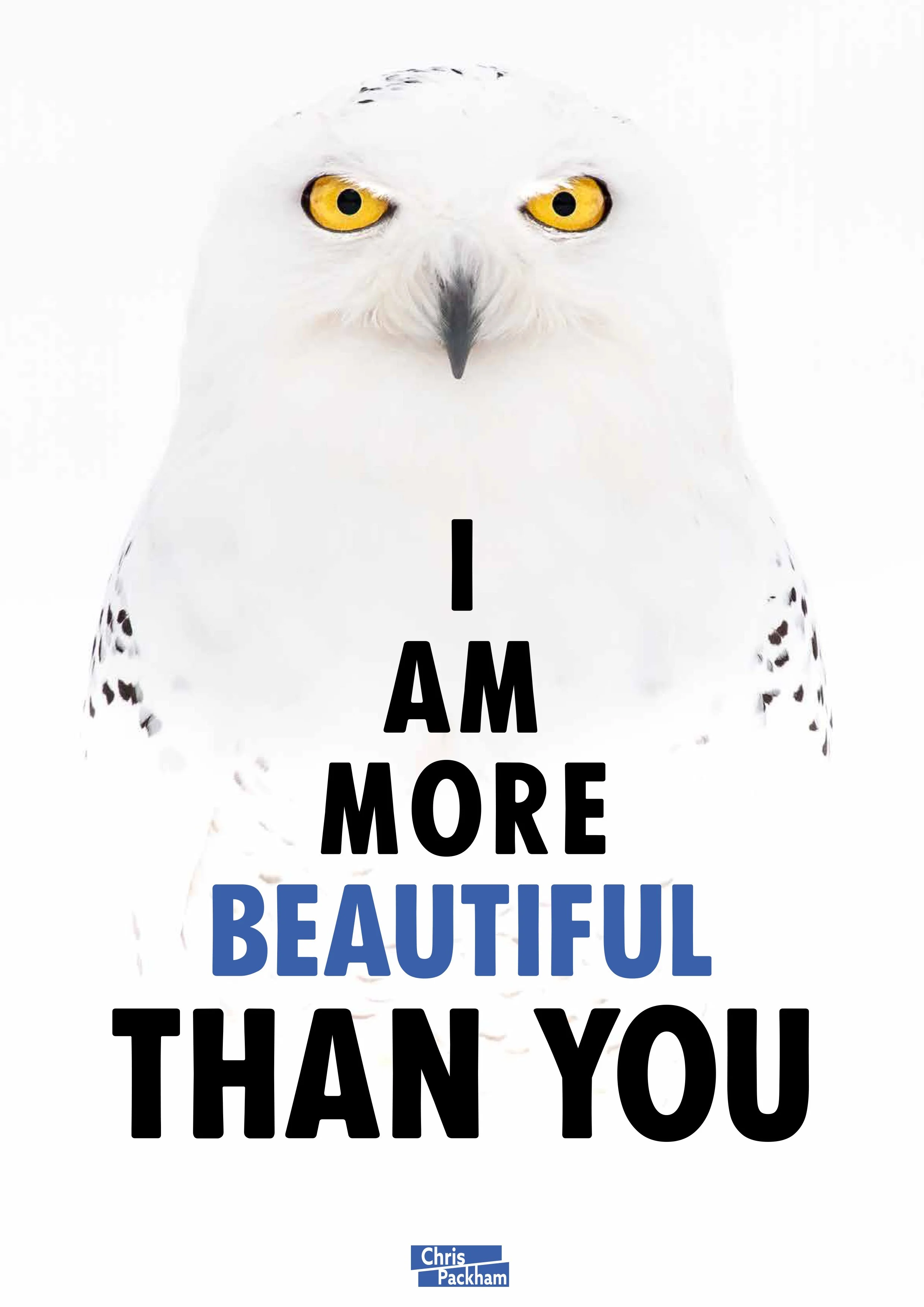 "More Beautiful Than You" Digital print by Chris Packham