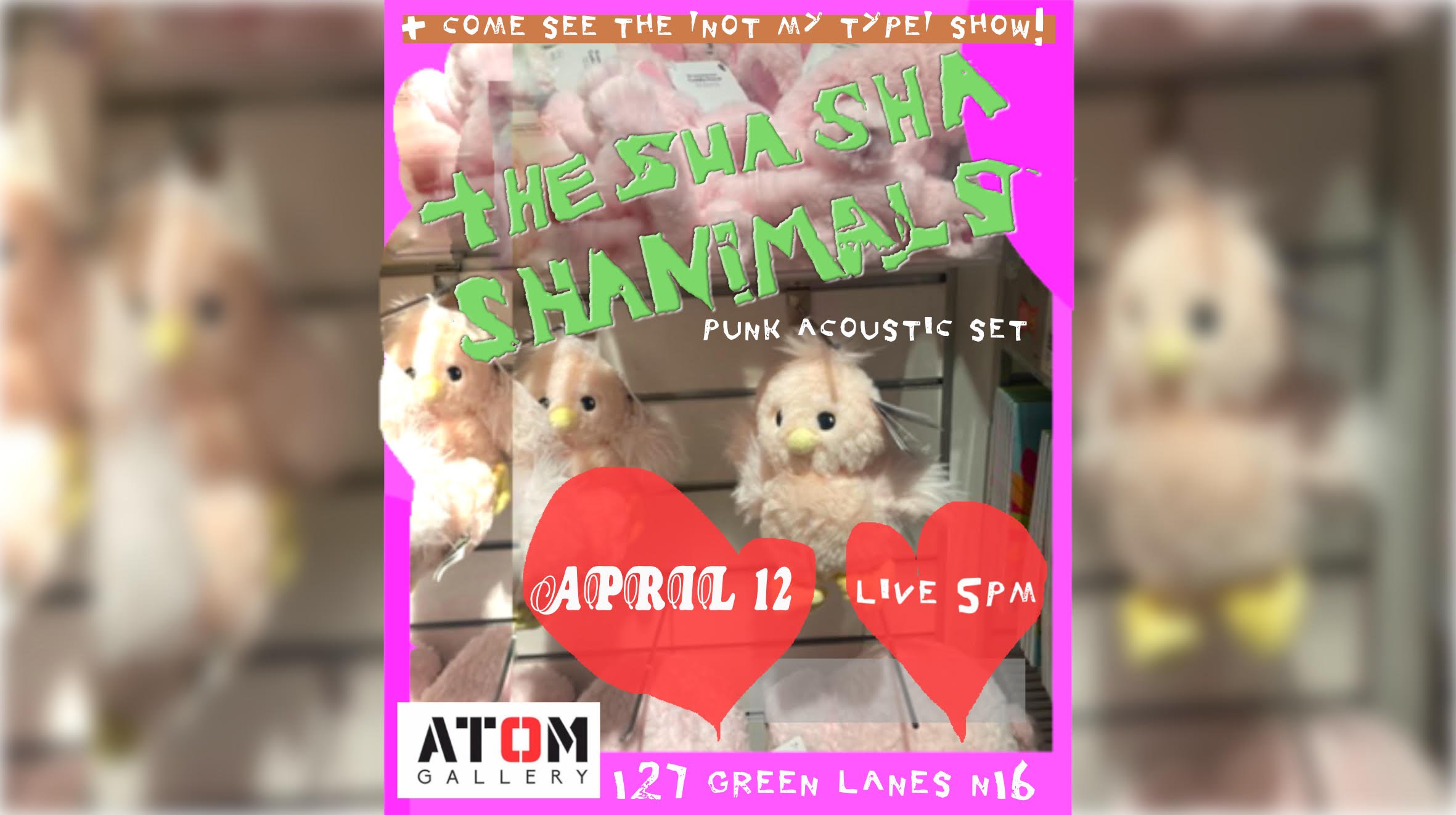 acoustic gig at Atom Gallery | THE sha sha shanimals