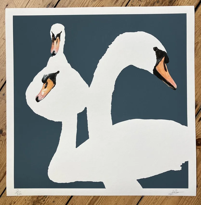 "Trio of Swans - Blue" by Limited Edition Giclee Print John Greene