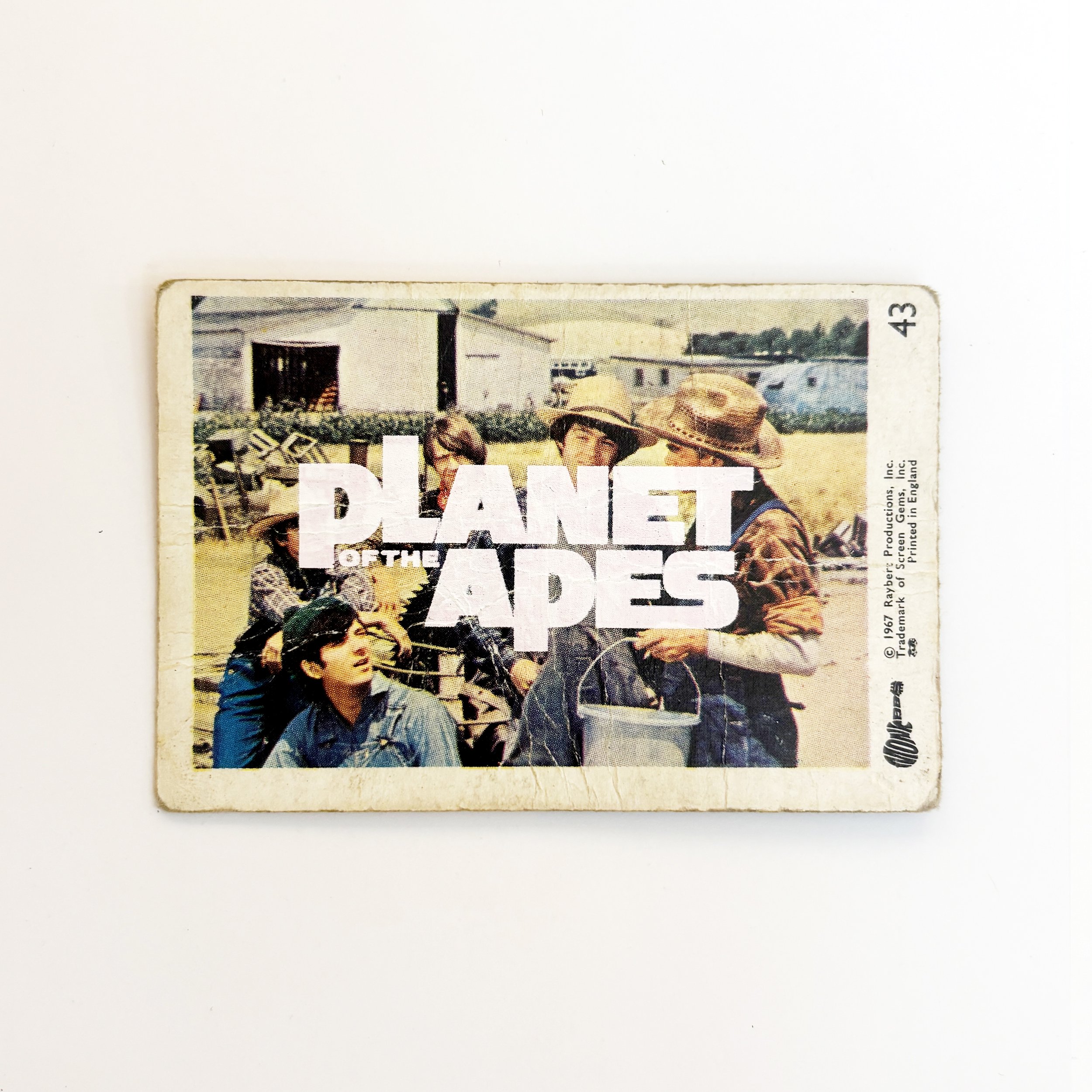 Planet of the Japes 43 .jpg