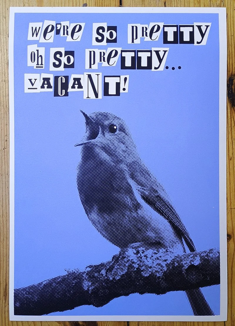 PR_birdsongblue_01 (2).jpg