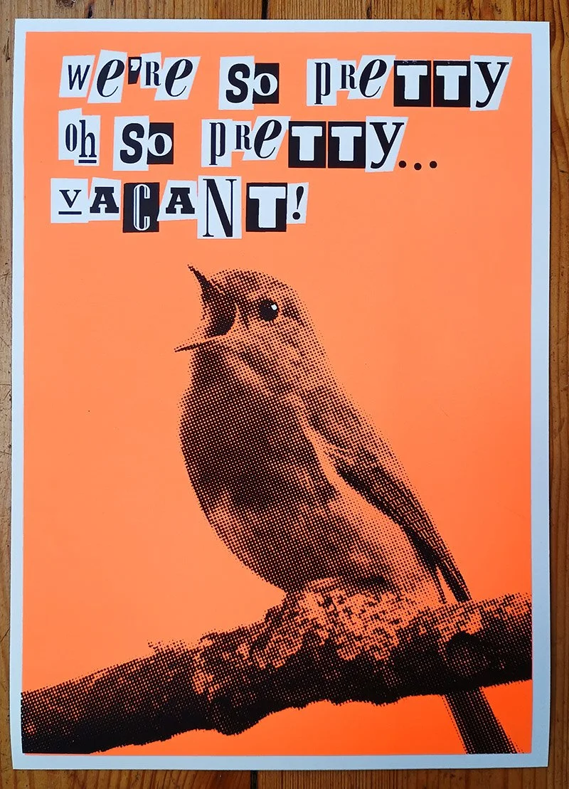 PR_birdsongorange_01 (1).jpg