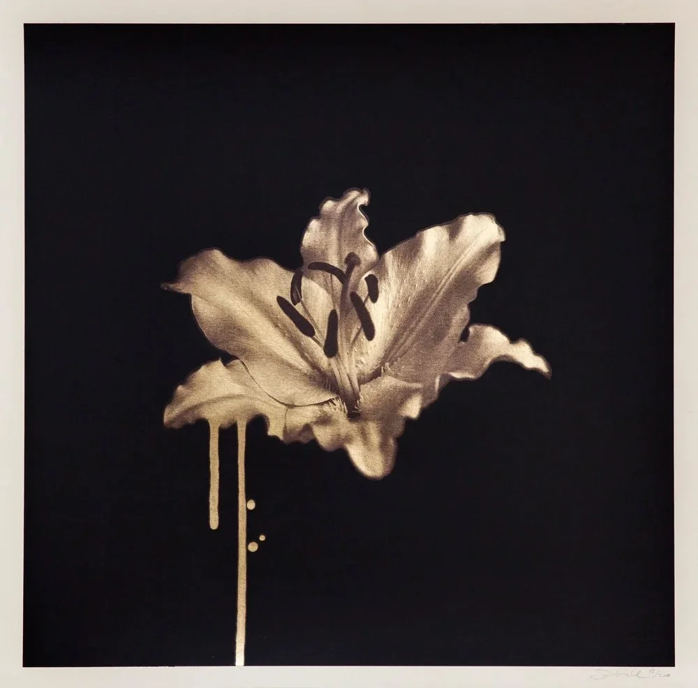 "Gilded Lily" (Gold Edition)  limited edition screenprint by Donk