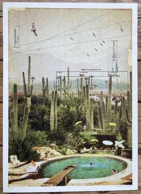 "At the foot of the Cacti" by Maxine Gregson