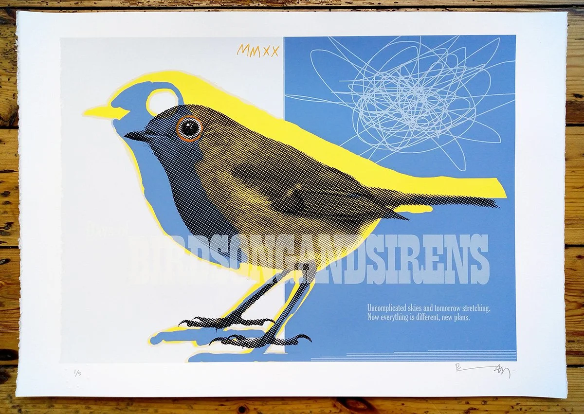 "Robin MMXX" limited edition screenprint by Richard Pendry