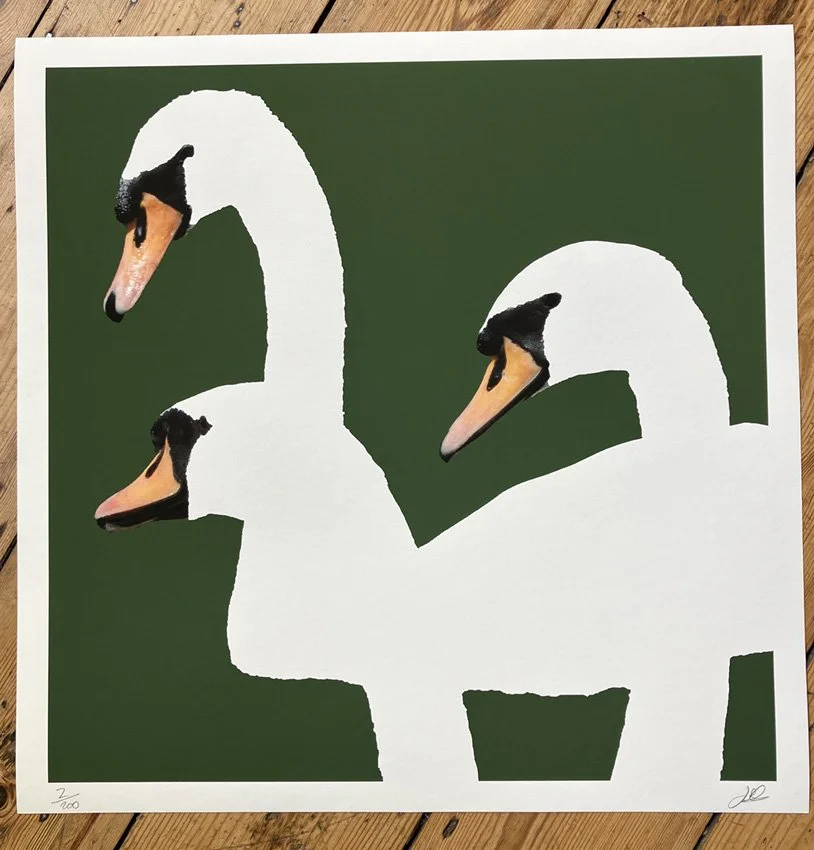 "Trio of Swans - Green" by Limited Edition Giclee Print John Greene